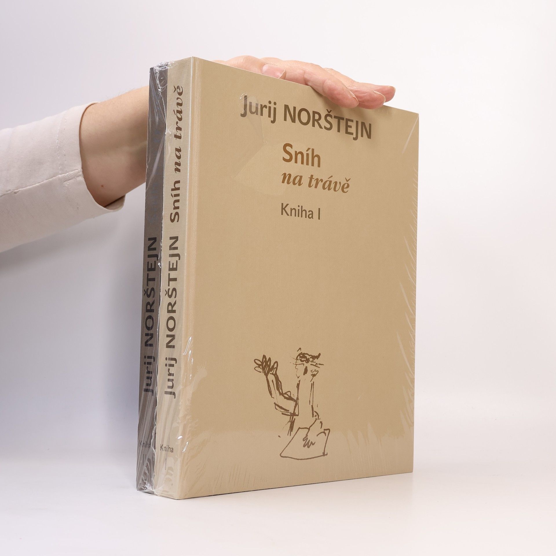 Juri Borissowitsch Norstein Sníh na trávě. Kniha I. - II.