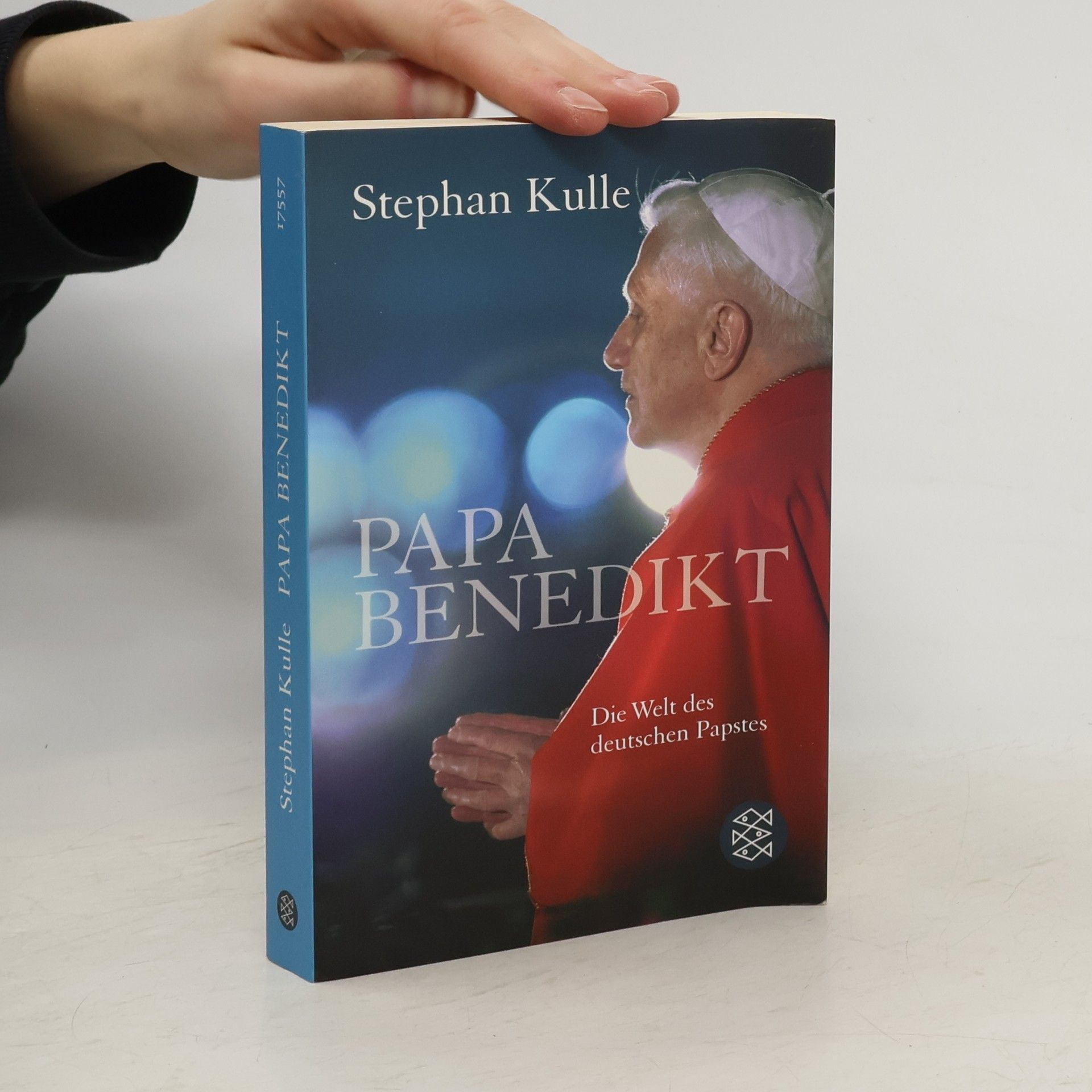 Papa Benedikt : Die Welt des deutache Paptes