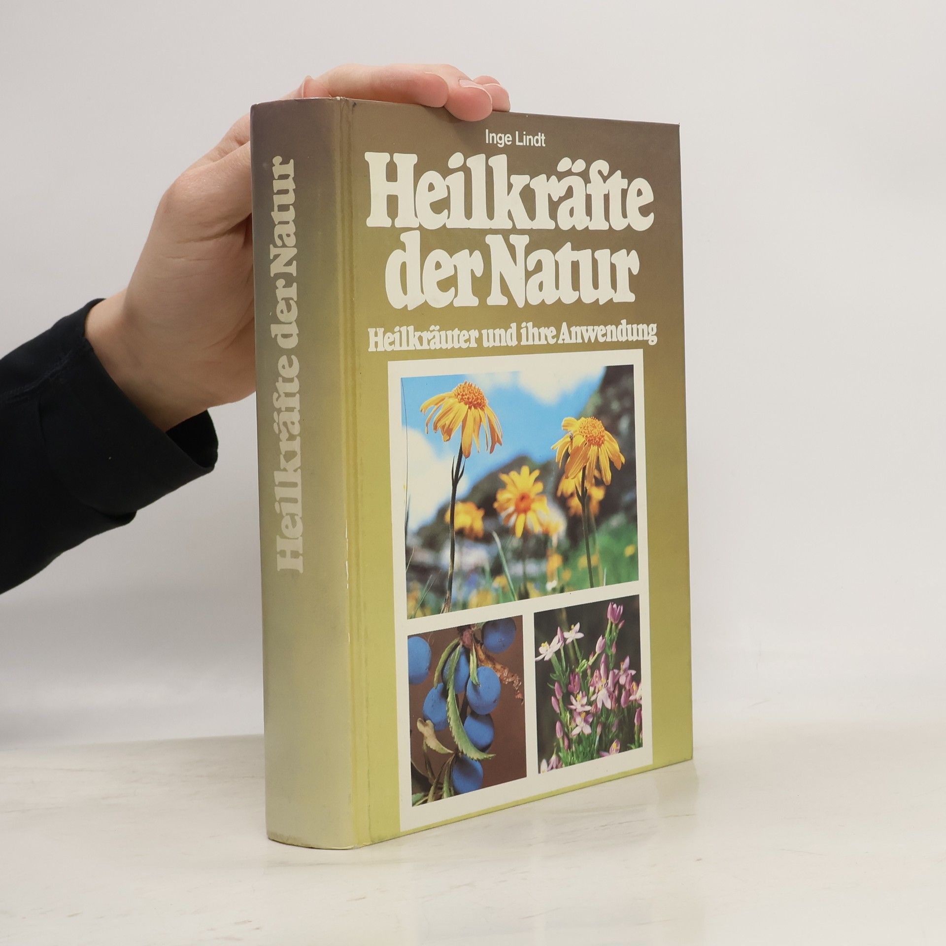 Inge Lindt Heilkräfte der Natur