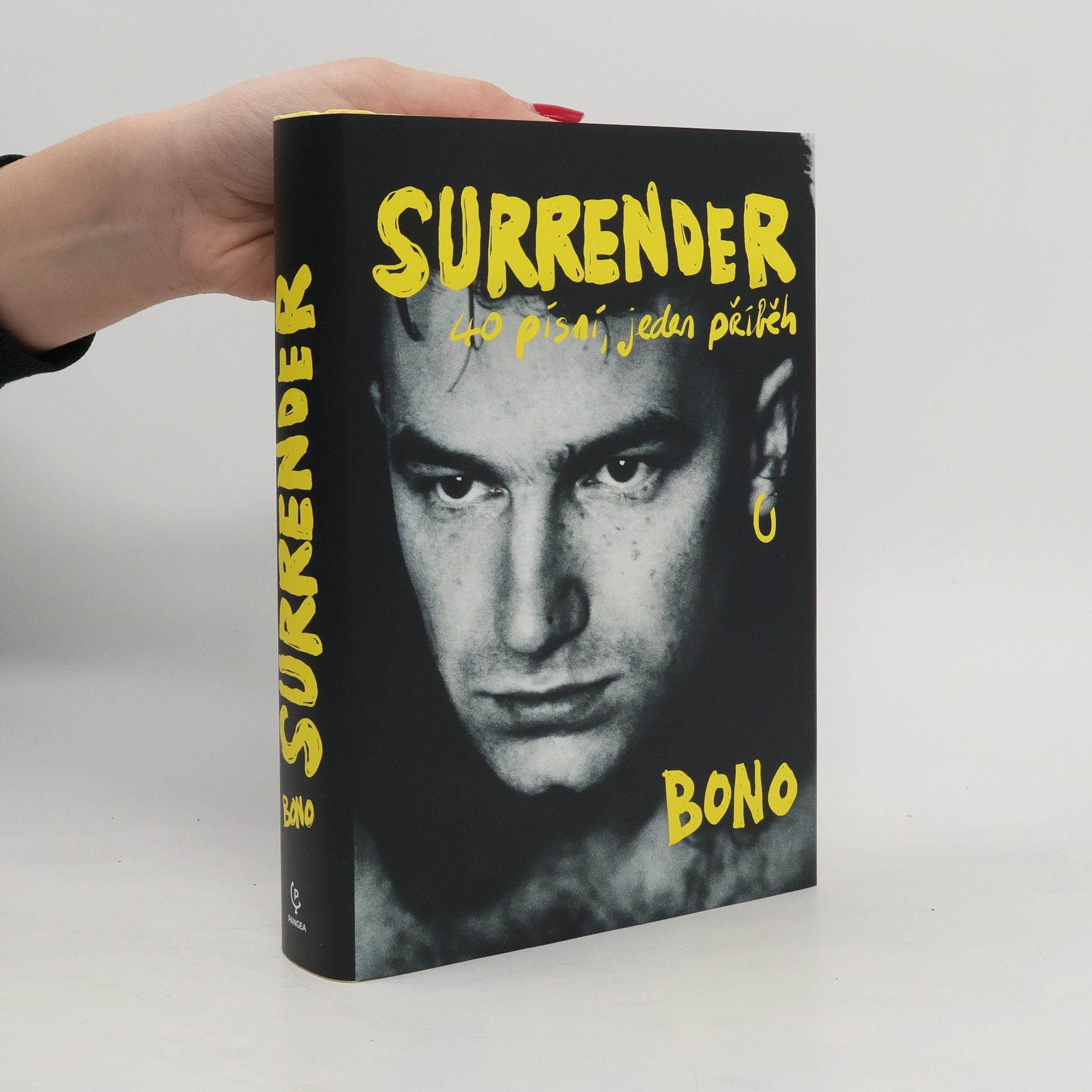 Bono Surrender : 40 písní, jeden příběh