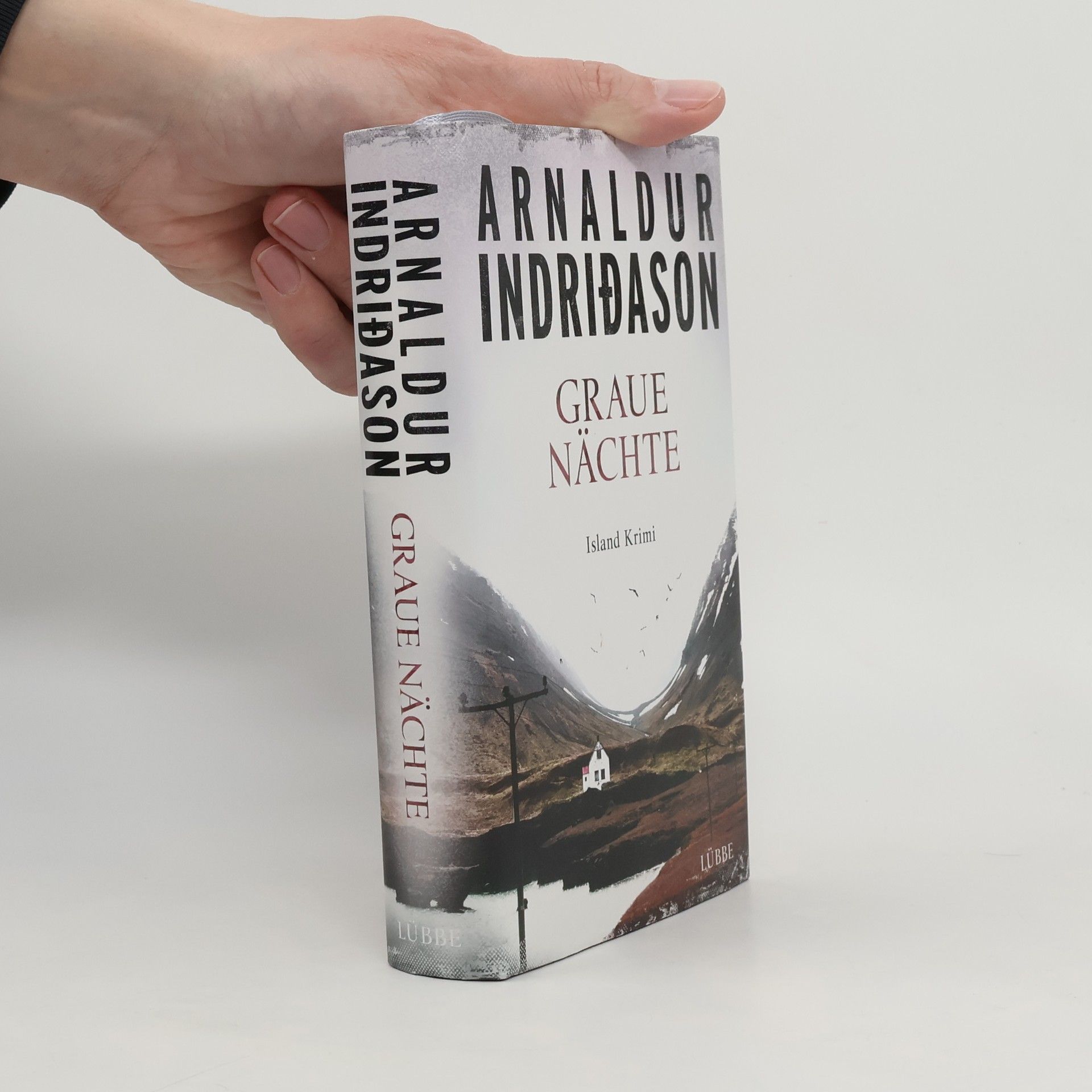 Arnaldur Indriðason Graue Nächte