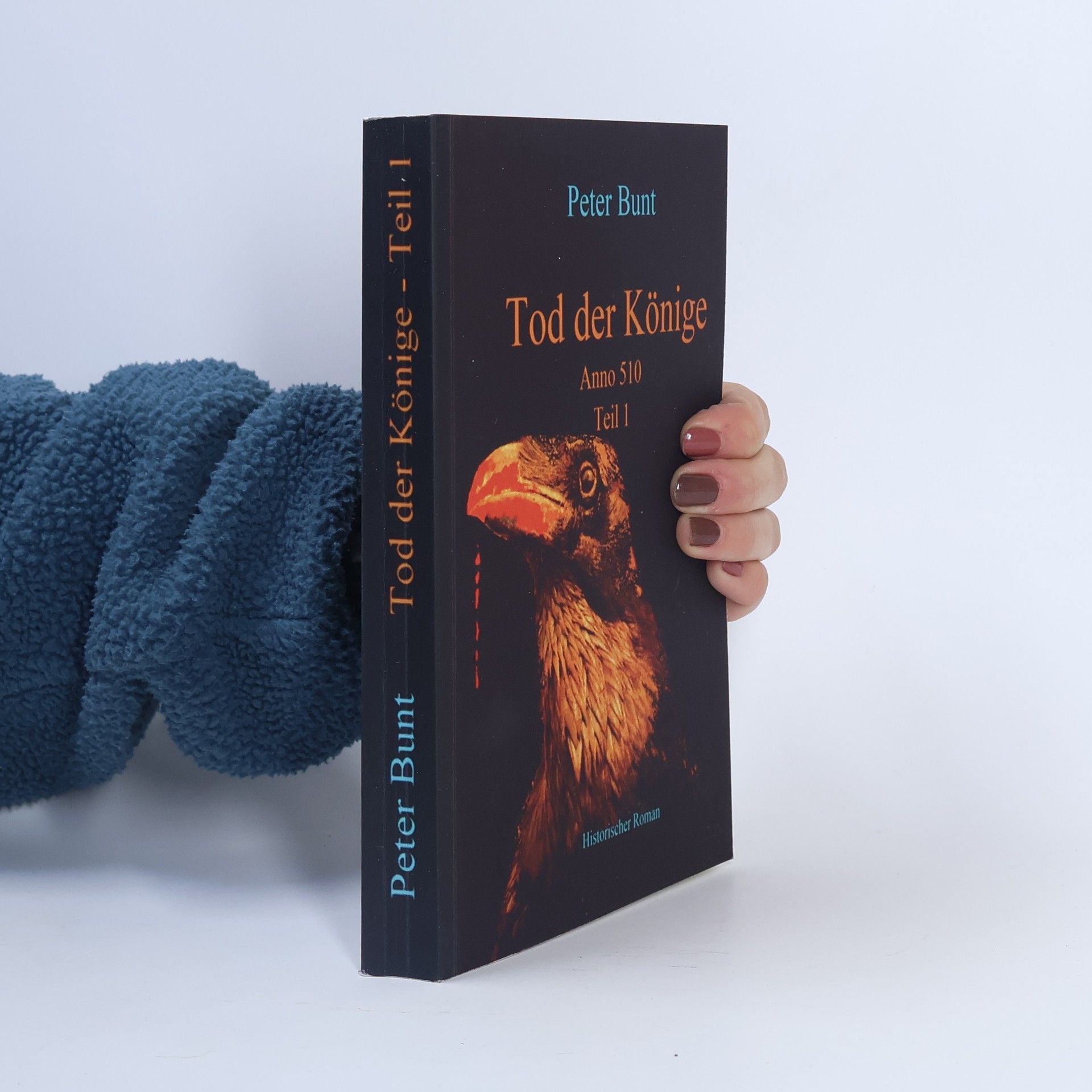 Die Einar Saga - 5: Tod der Könige