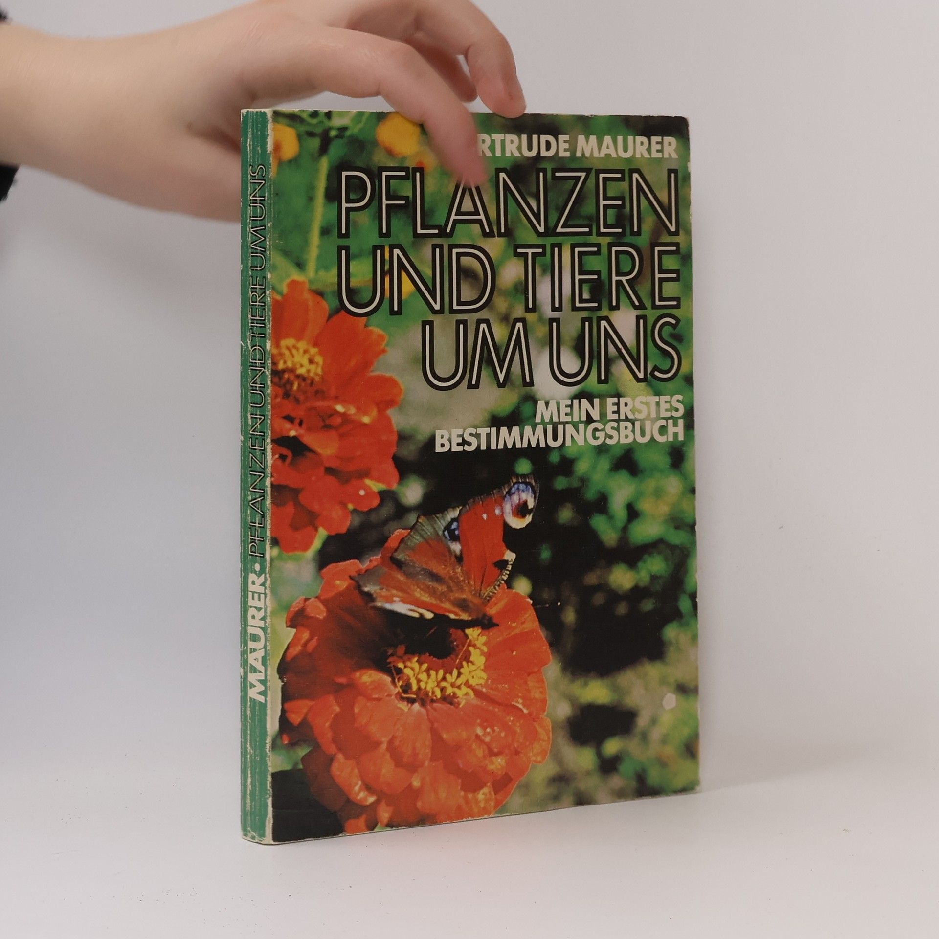 Gertrude Maurer Pflanzen und Tiere um uns