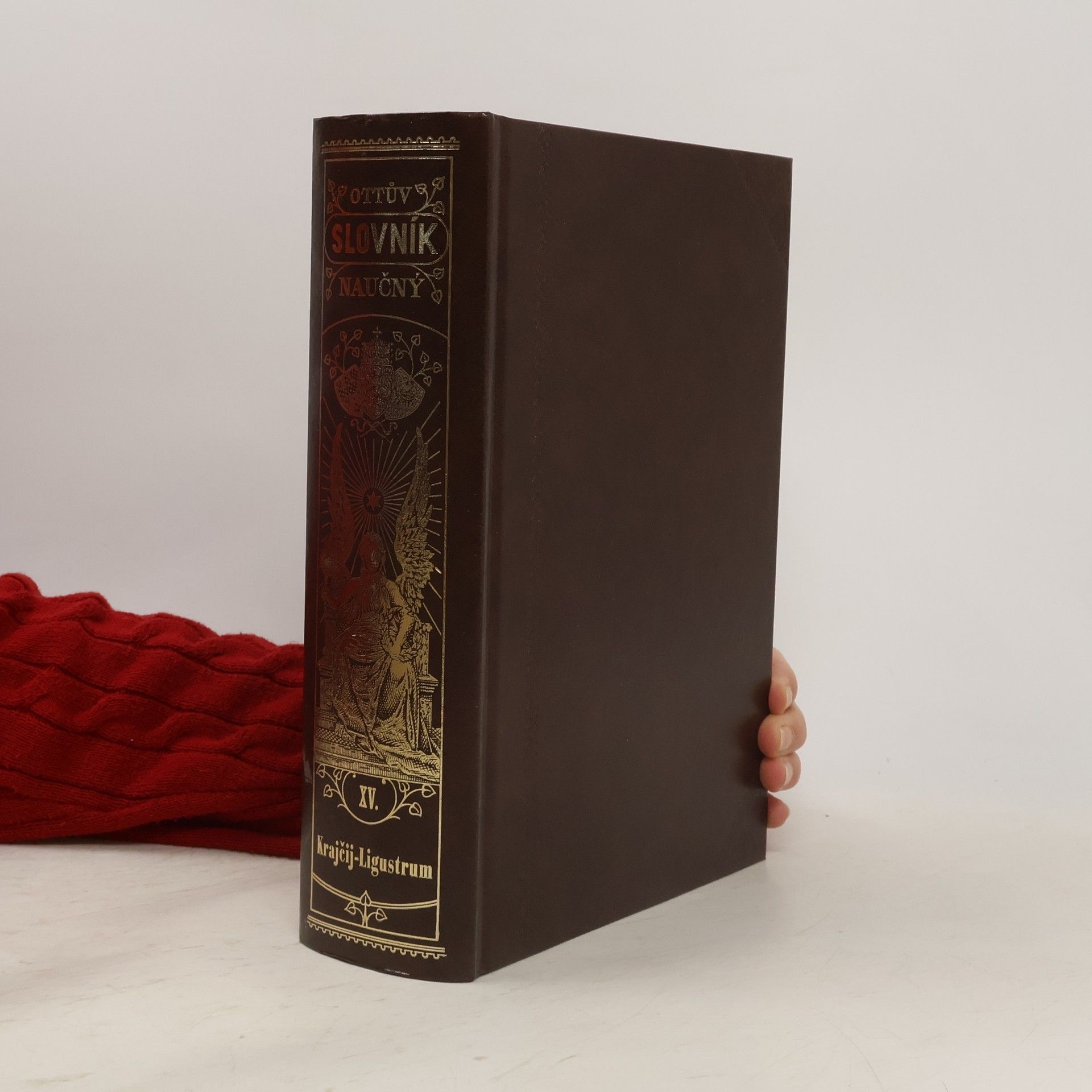 Autorenkollektiv Ottův slovník naučný XV.