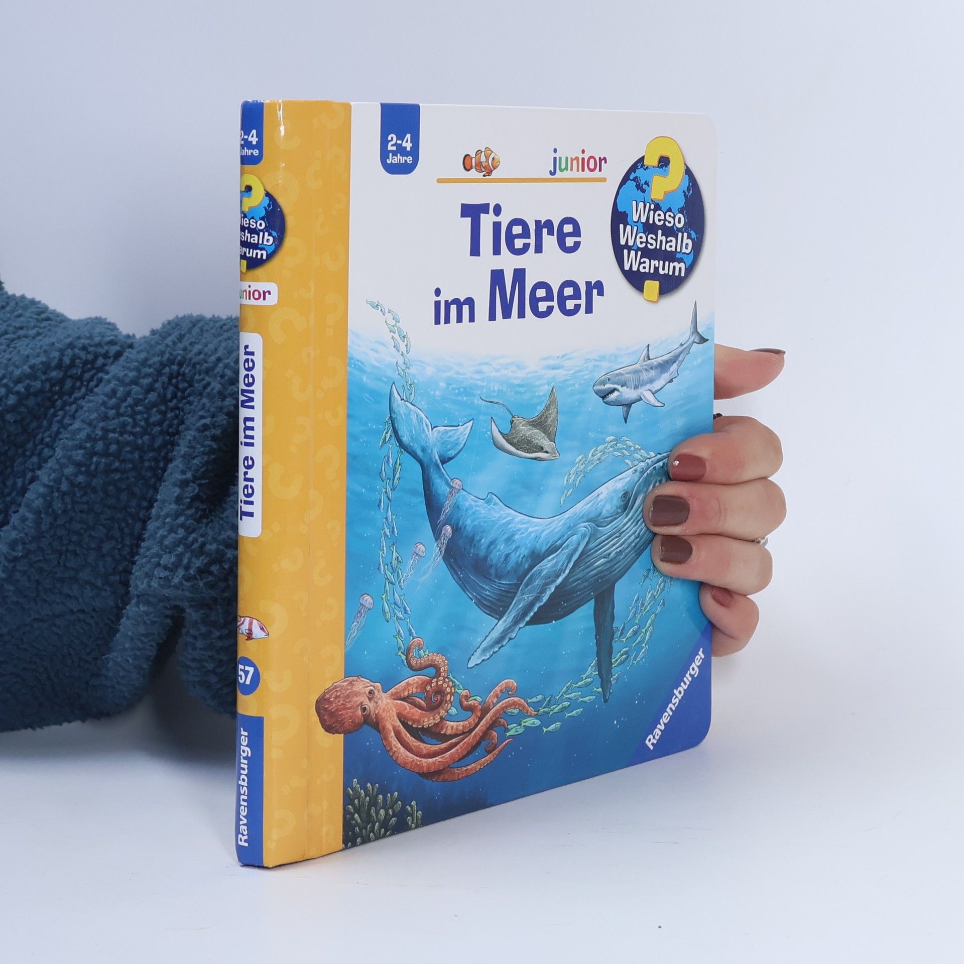 Anita van Saan Wieso? Weshalb? Warum? junior, Band 57: Tiere im Meer