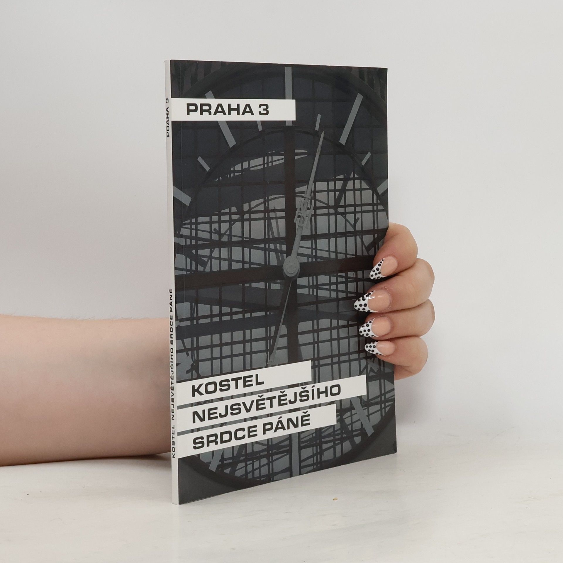 Dana Schlaichertová Kirche zum Heiligsten Herzen Jesu. Prag 3