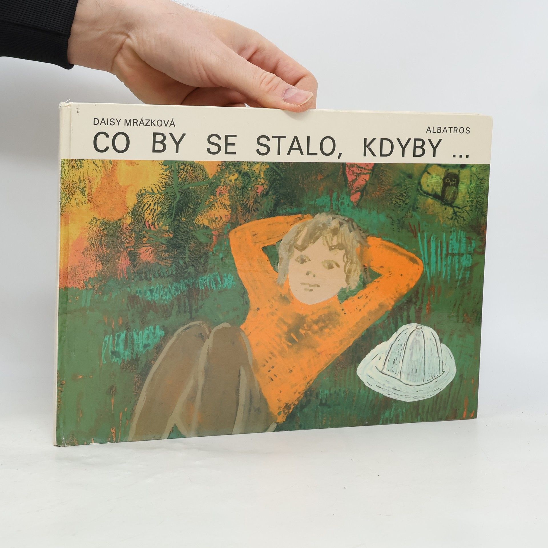 Daisy Mrázková Co by se stalo, kdyby...