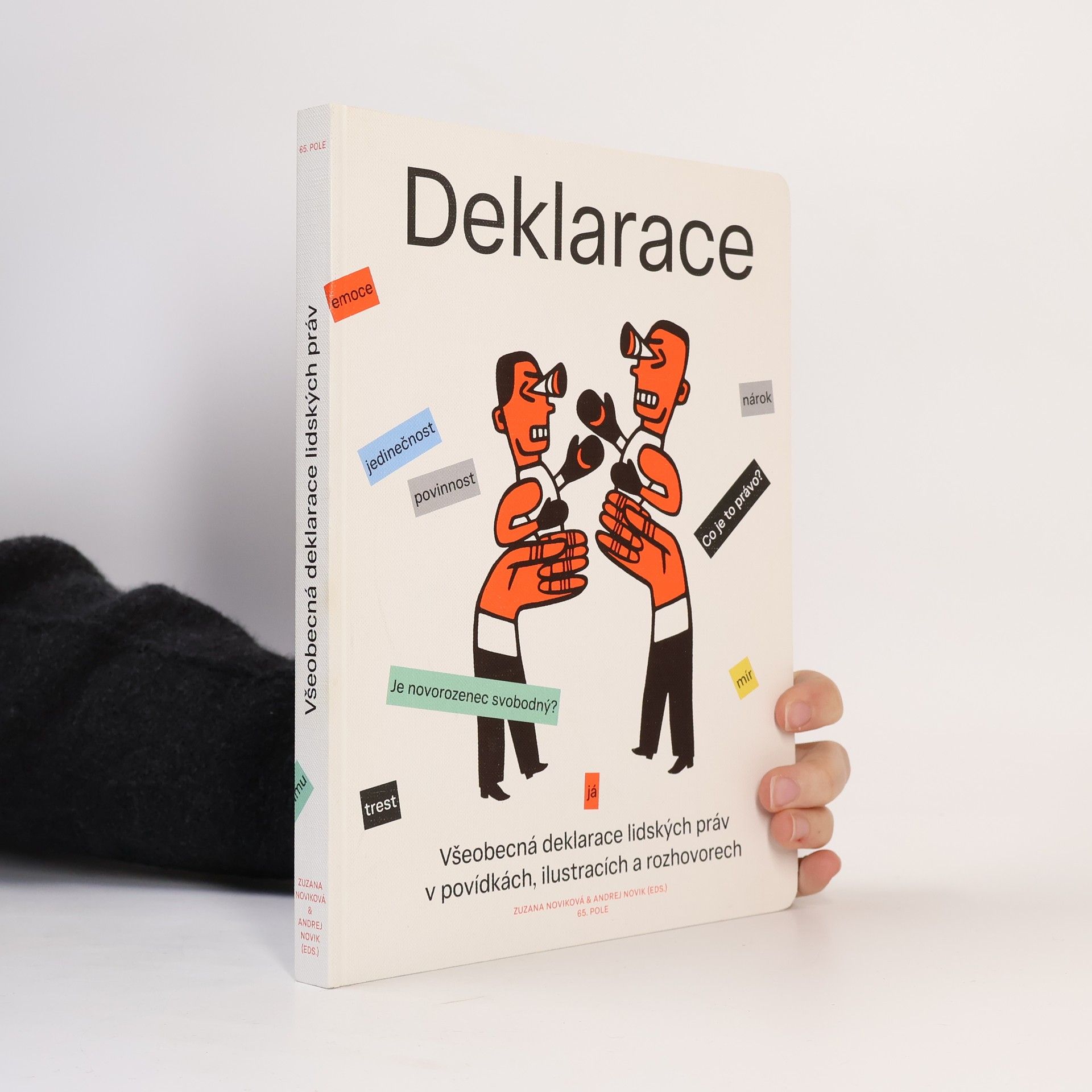 Zuzana Noviková Deklarace : Všeobecná deklarace lidských práv v povídkách, ilustracích a rozhovorech