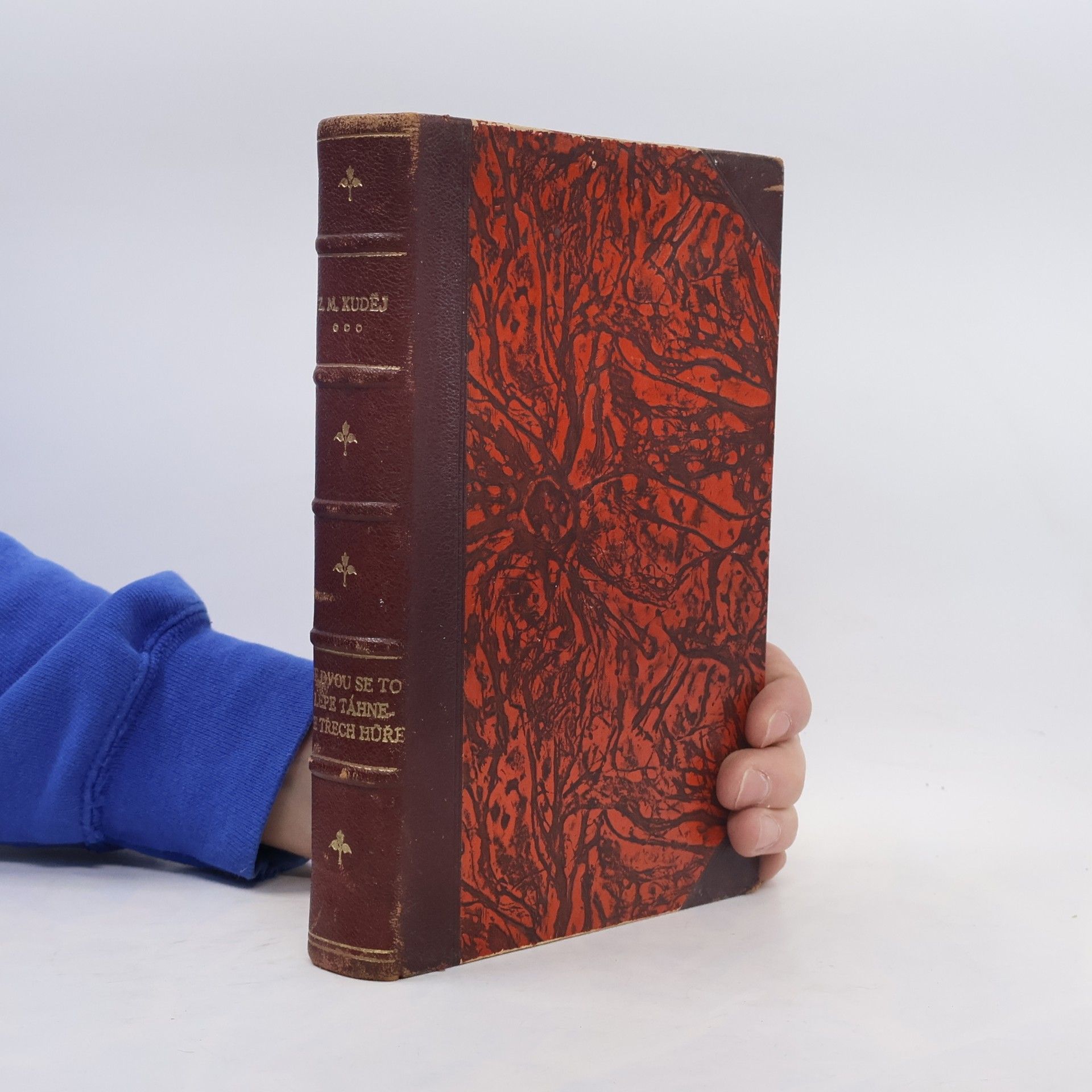 Zdeněk Matěj Kuděj Ve dvou se to lépe táhne