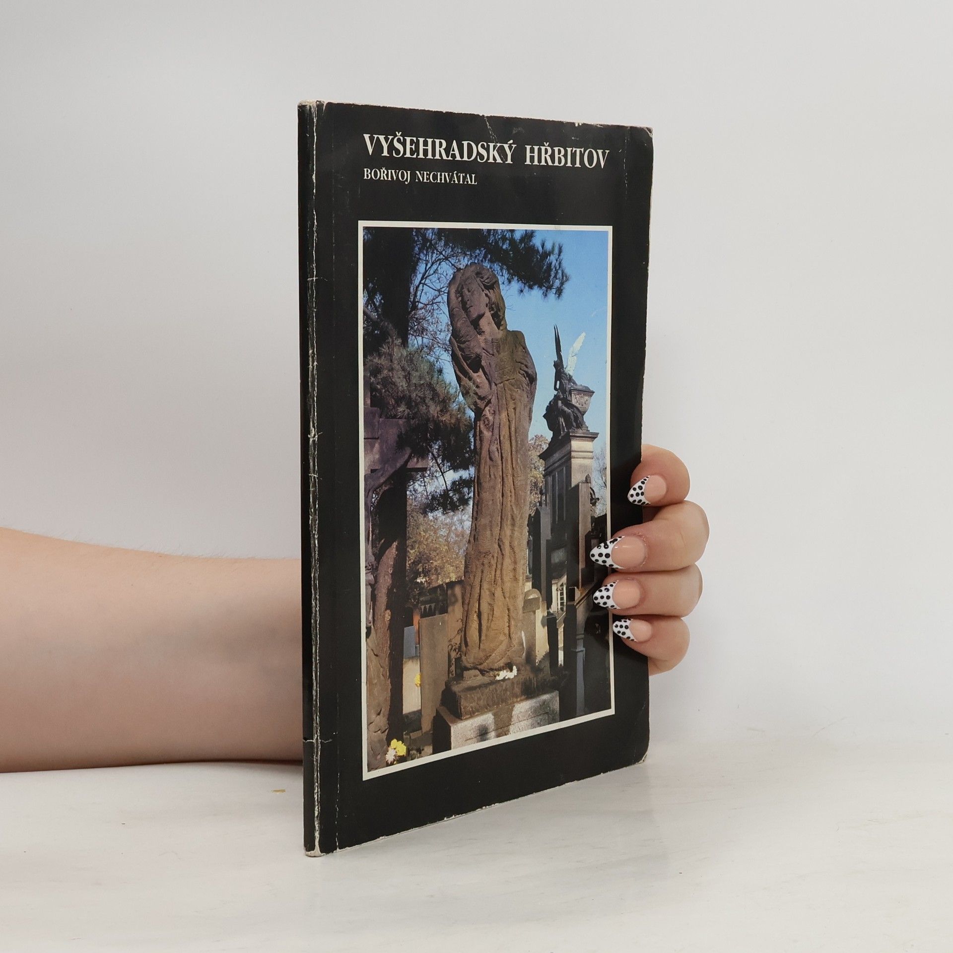 Bořivoj Nechvátal Vyšehradský hřbitov