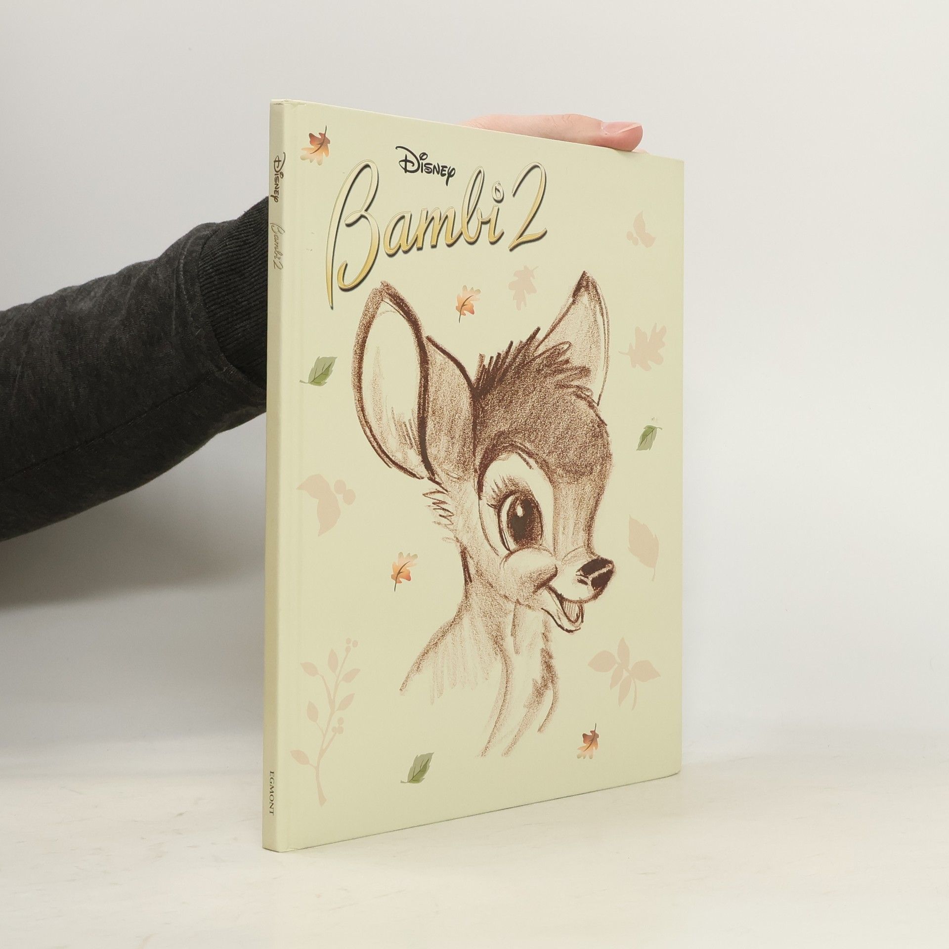 Auteurscollectief Bambi 2
