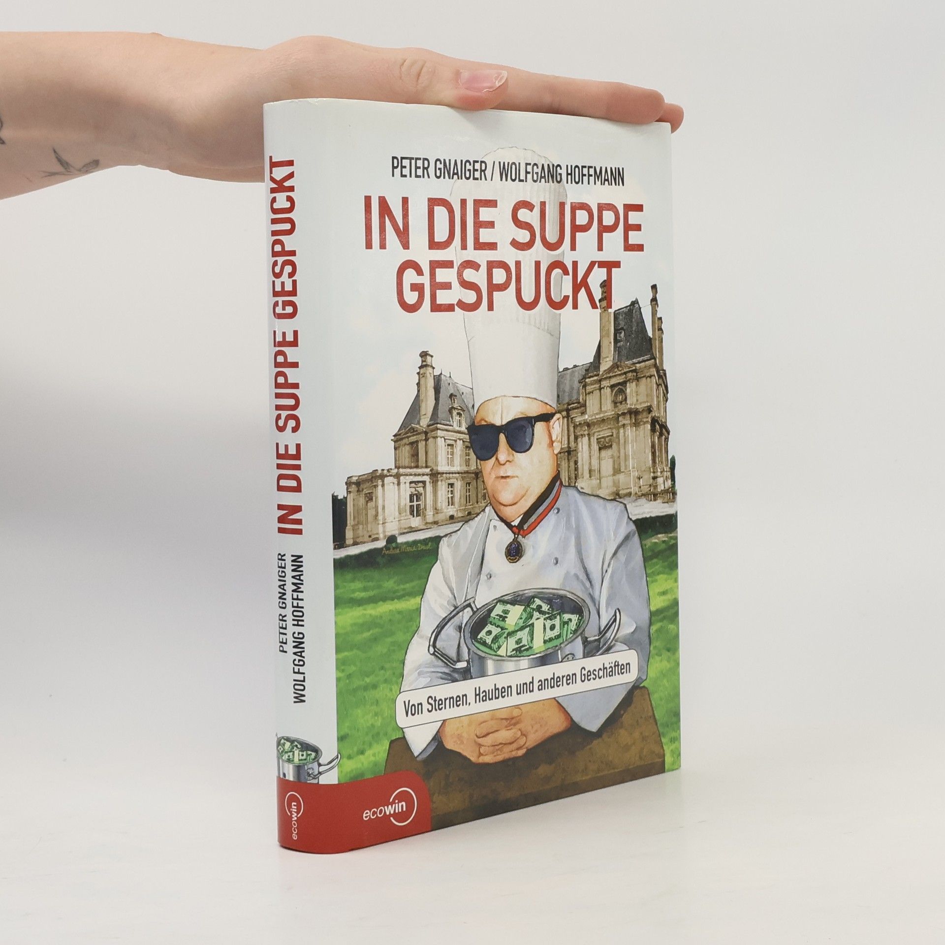 Wolfgang Hoffmann-Riem In die Suppe gespuckt