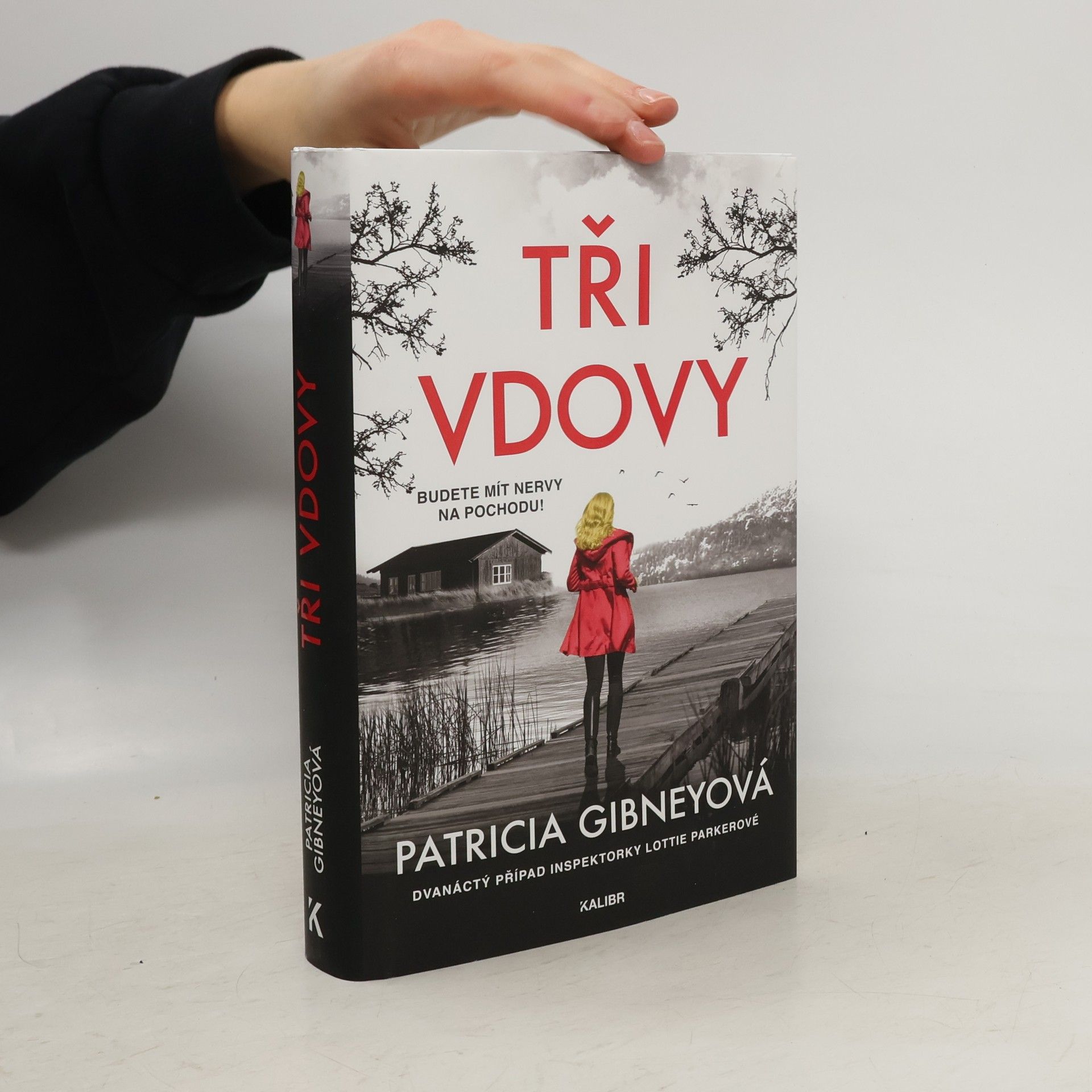 Patricia Gibney Tři vdovy
