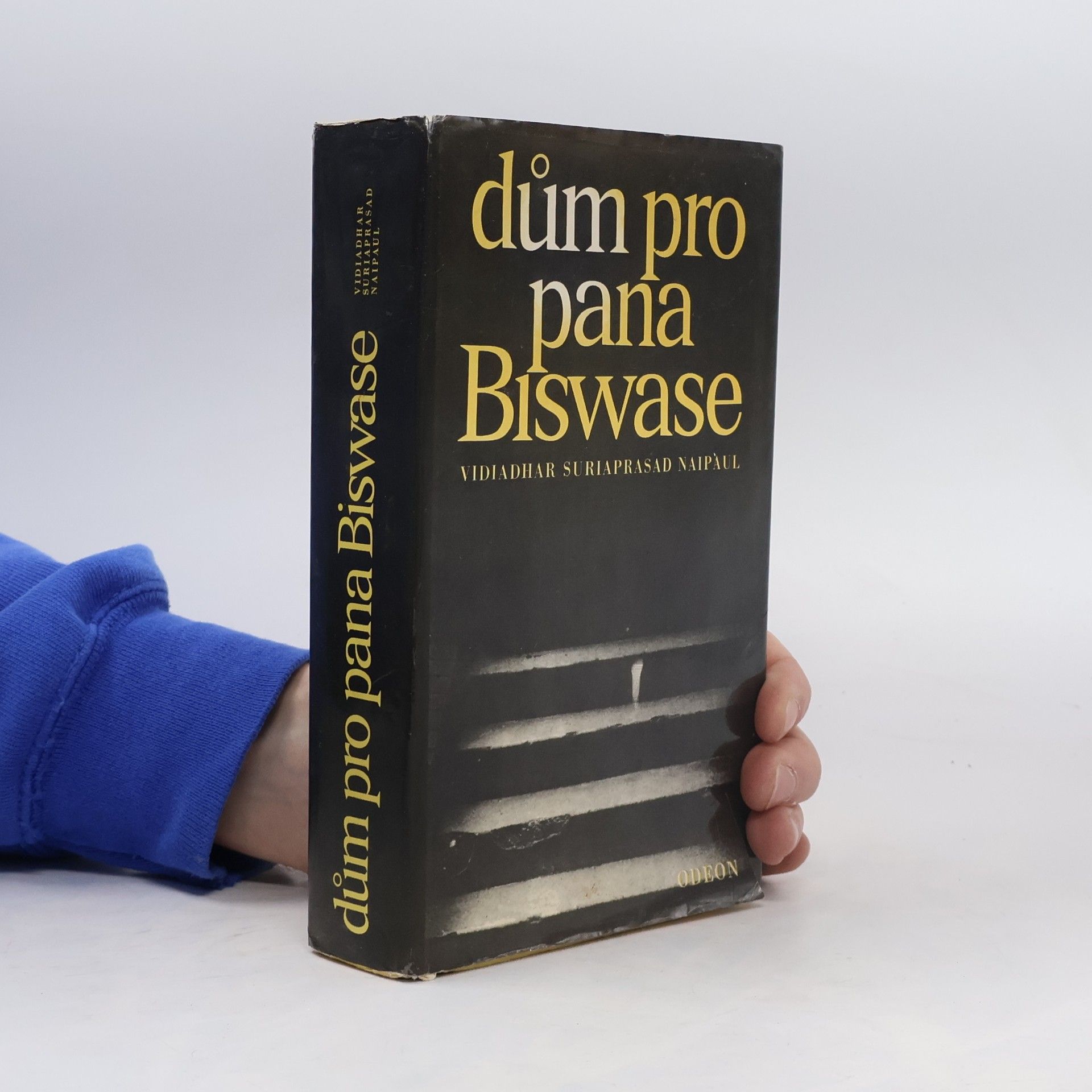 V. S. Naipaul Dům pro pana Biswase