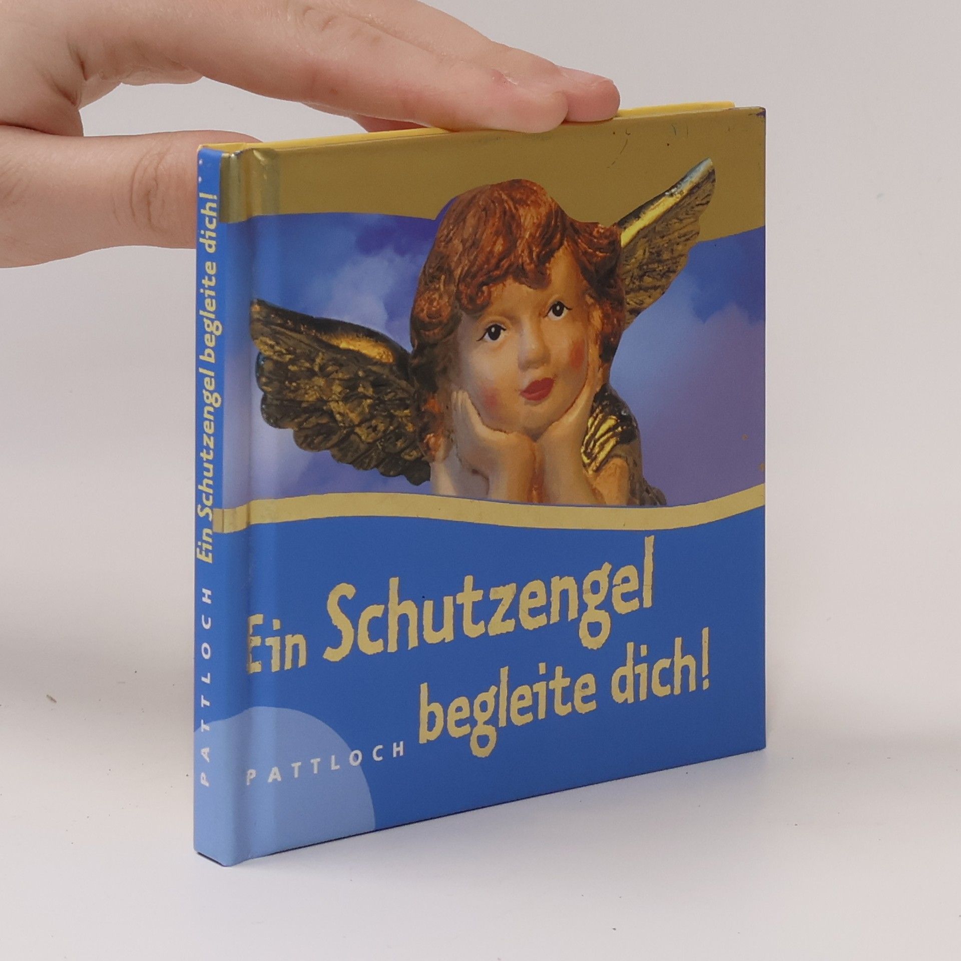 Petra Kummermehr Ein Schutzengel begleite dich!