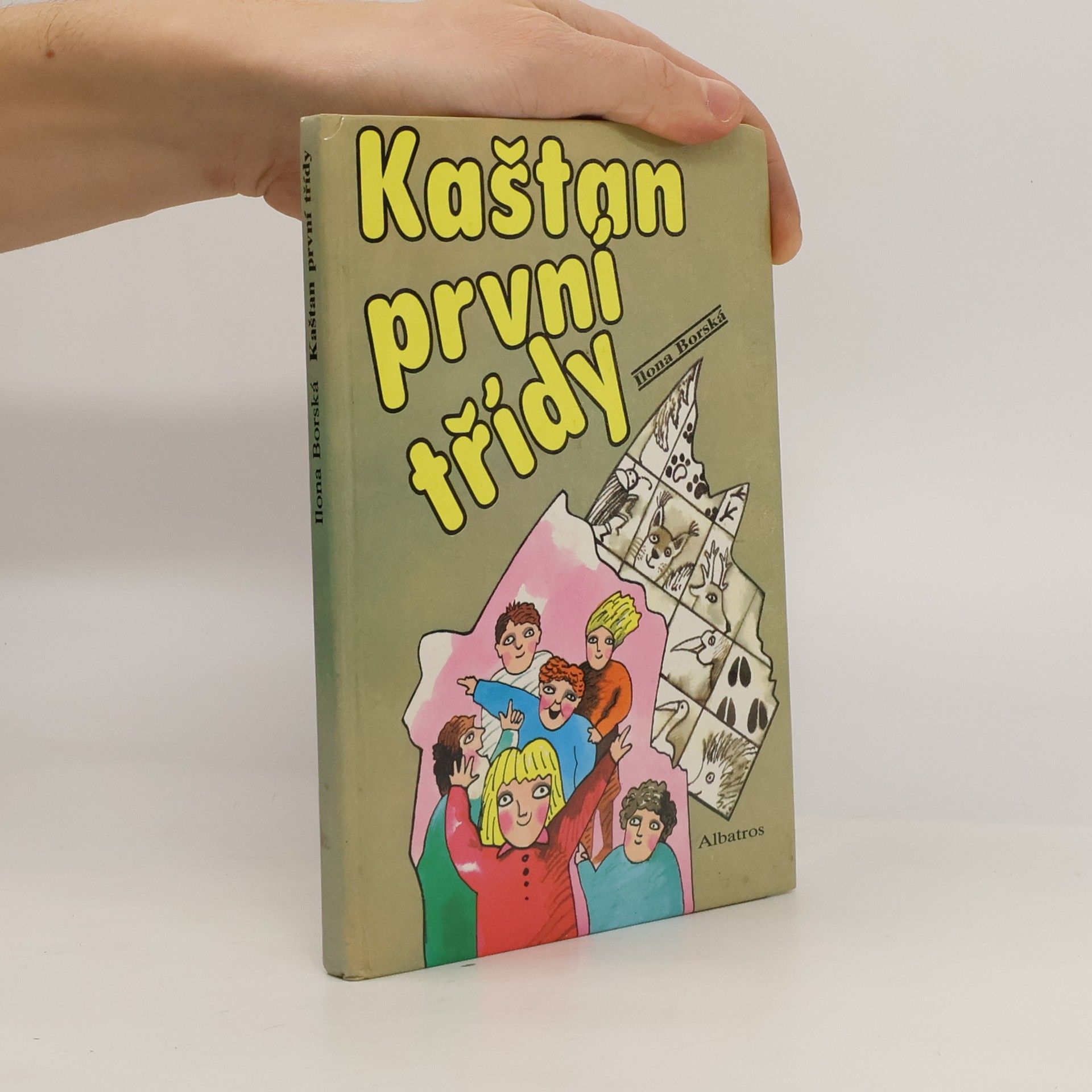 Kaštan první třídy