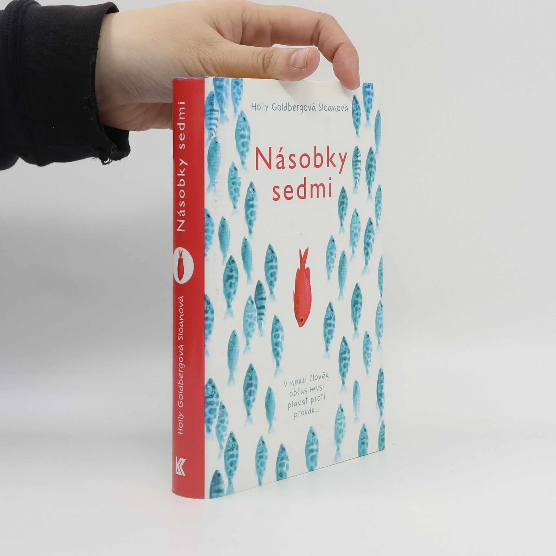 Holly Goldberg Sloan Násobky sedmi