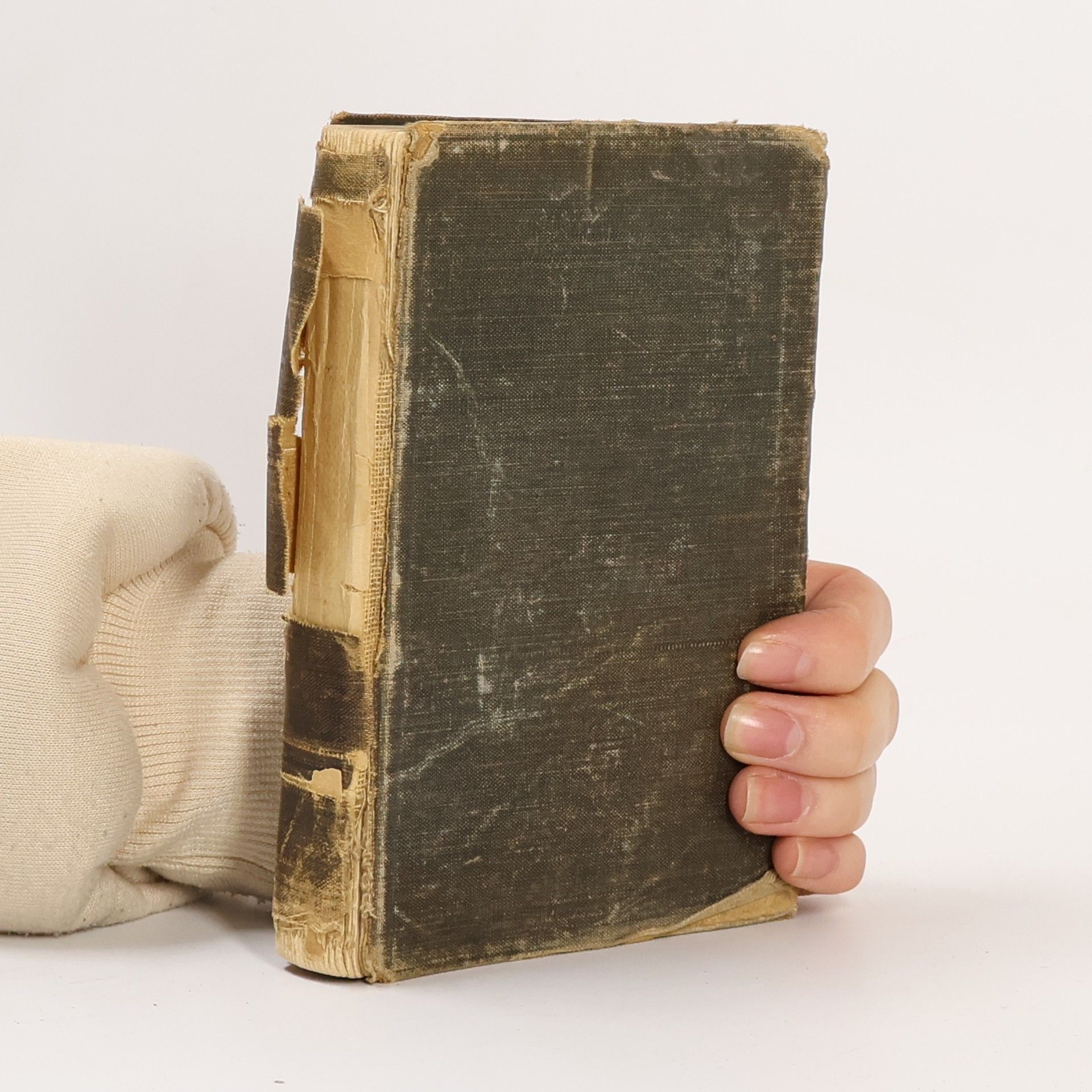 Autorenkollektiv Η καινη διαθηκη