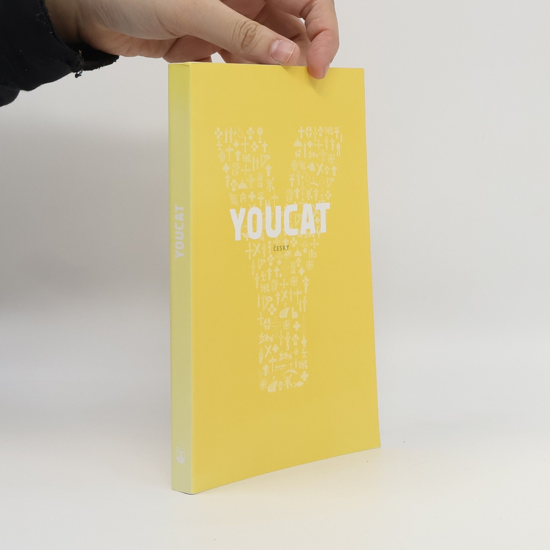 Various authors Youcat: katechismus katolické církve pro mladé