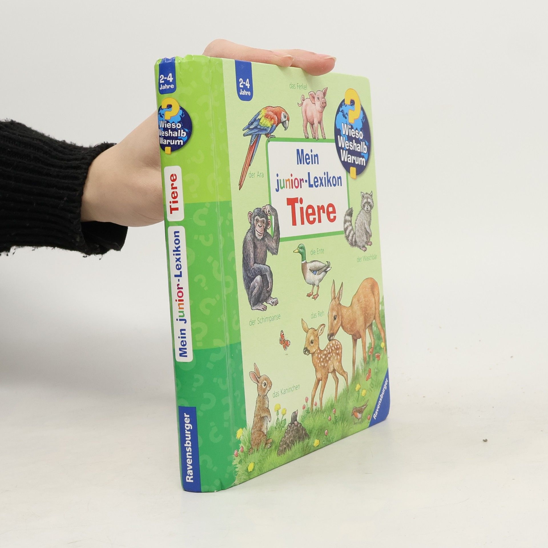 Anne Möller Mein Junior-Lexikon - Tiere