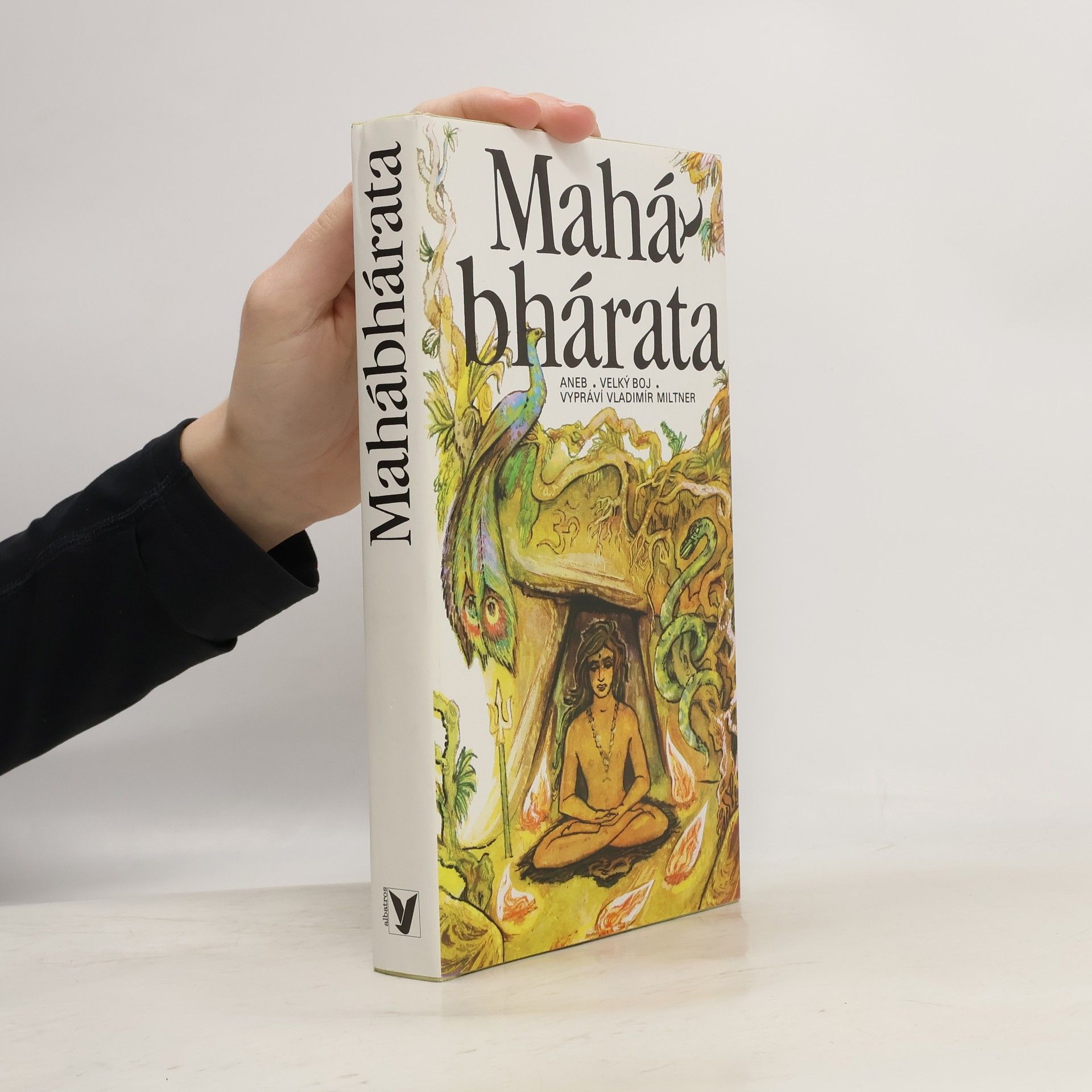 Jaromír Skřivánek Mahábhárata aneb Velký boj