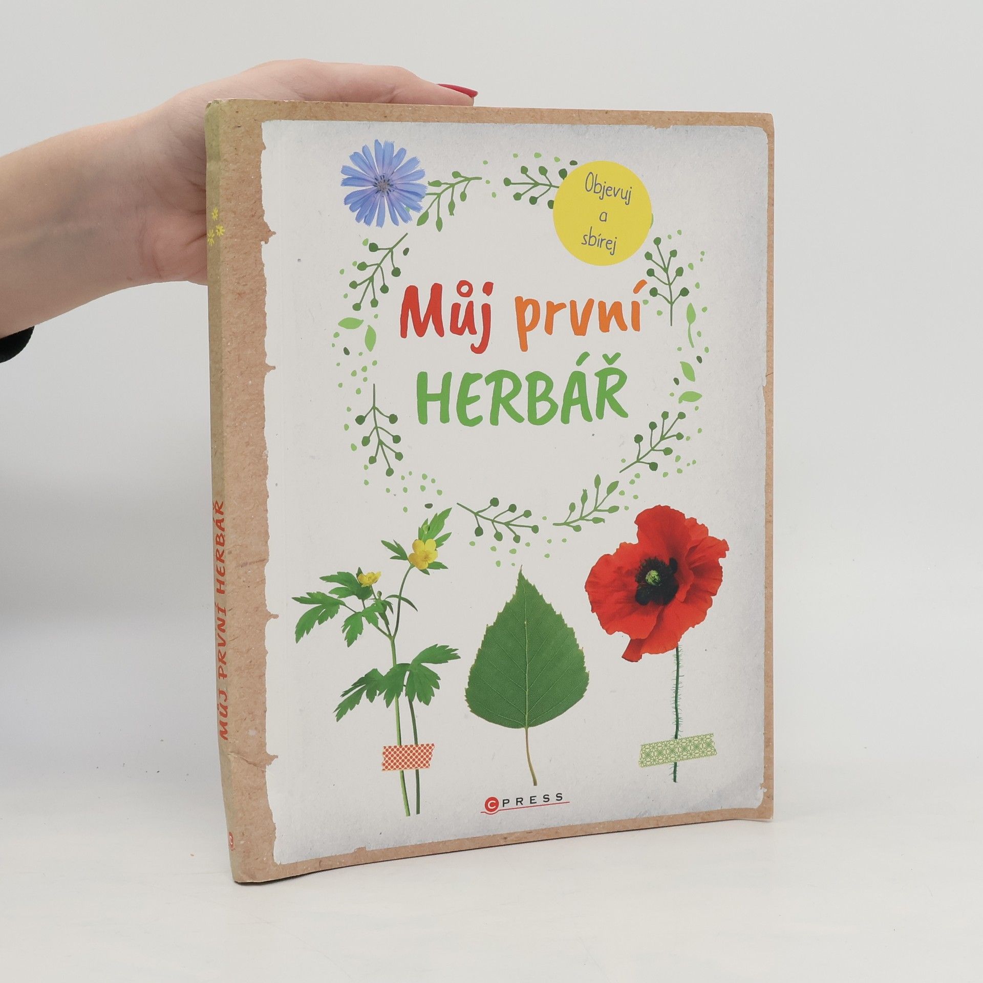 Anna Linstadt Můj první herbář