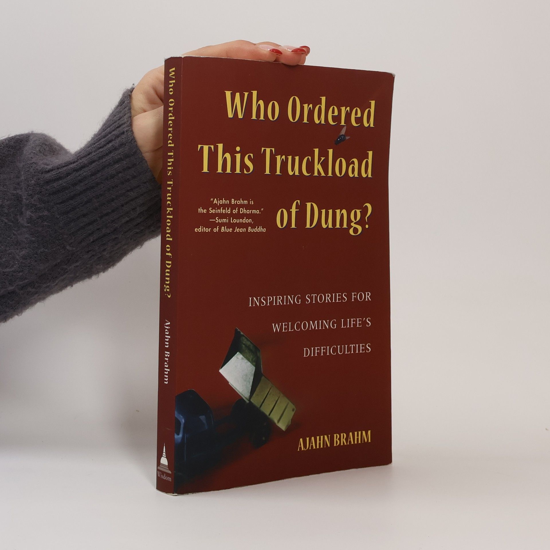 Brahmavamsó Who Ordered This Truckload of Dung?: Inspiring Stories for Welcoming Life's Difficulties