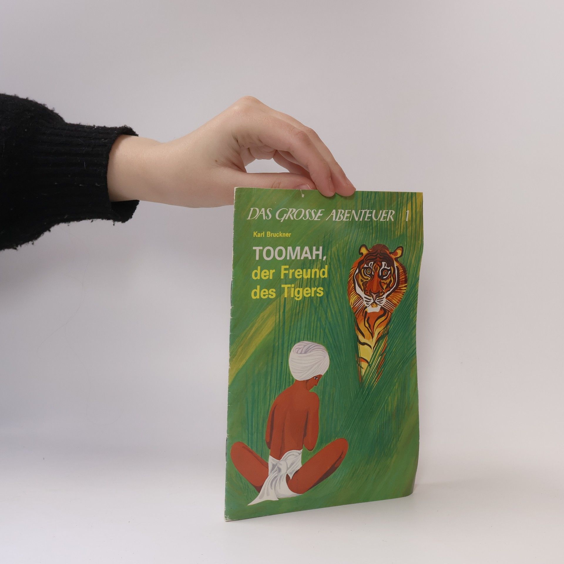 Das große Abenteuer - 1: Toomah, der Freund des Tigers