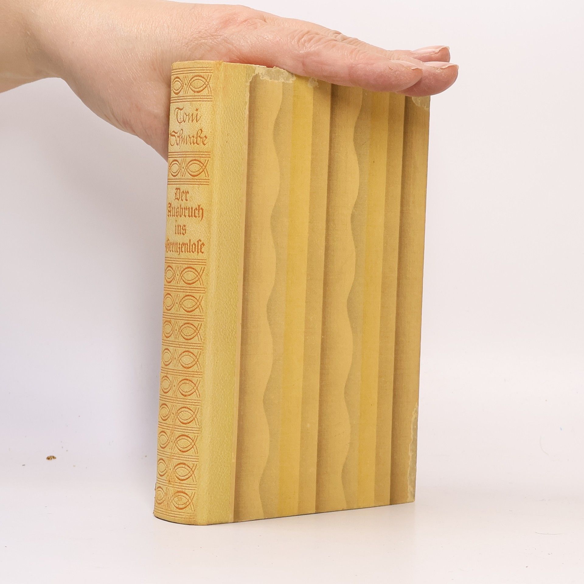 Der Ausbruch ins Grenzenlose