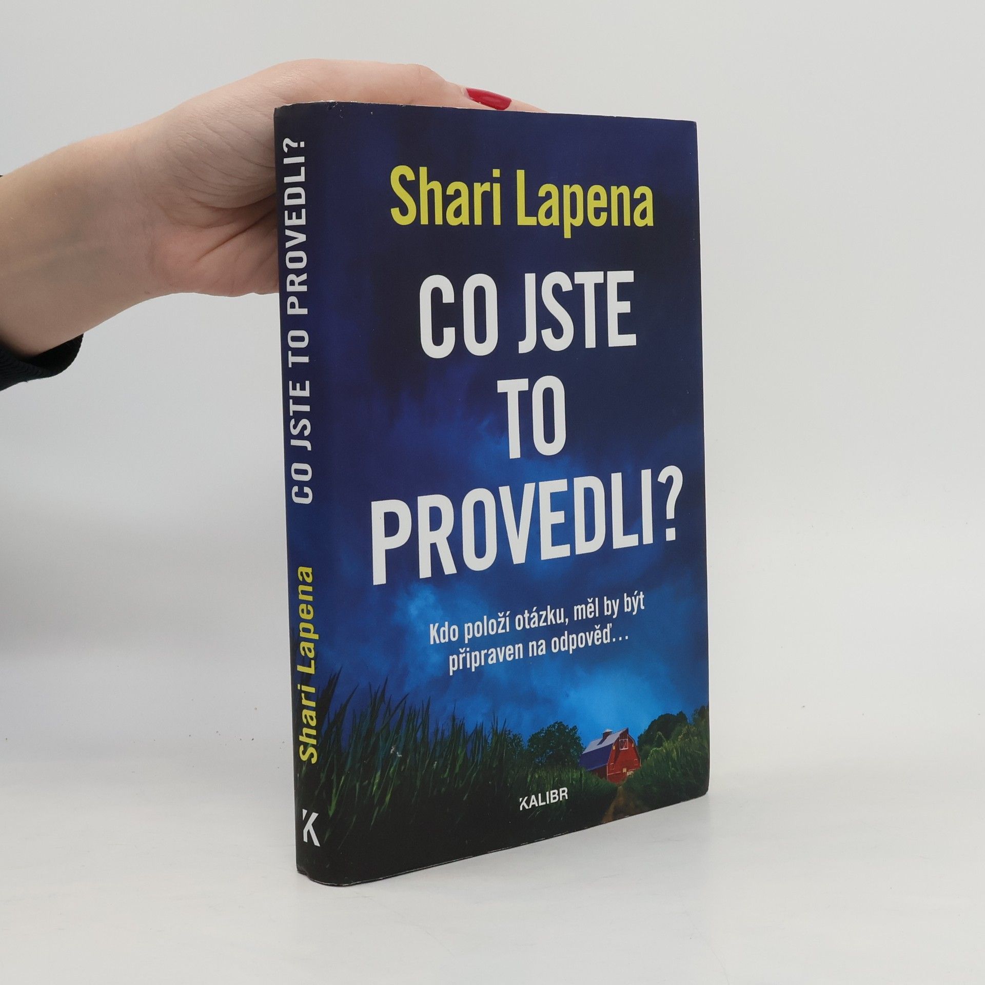 Shari Lapena Co jste to provedli?