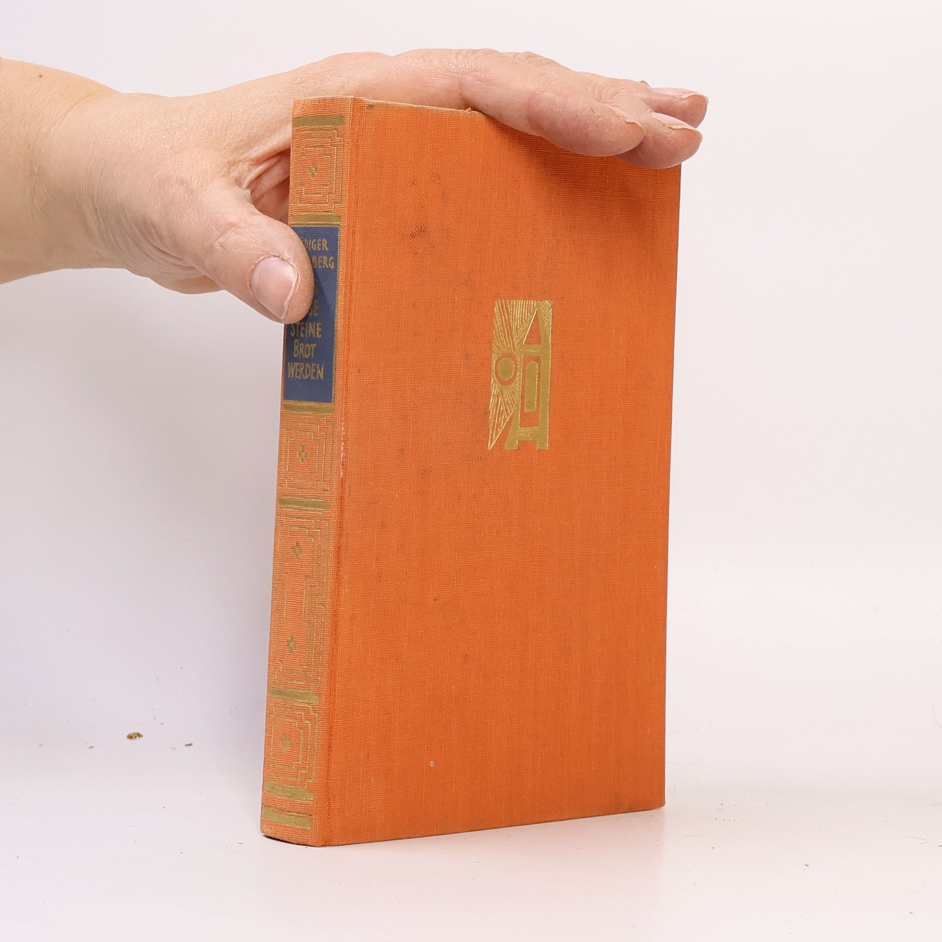 Dass diese Steine Brot werden. Roman