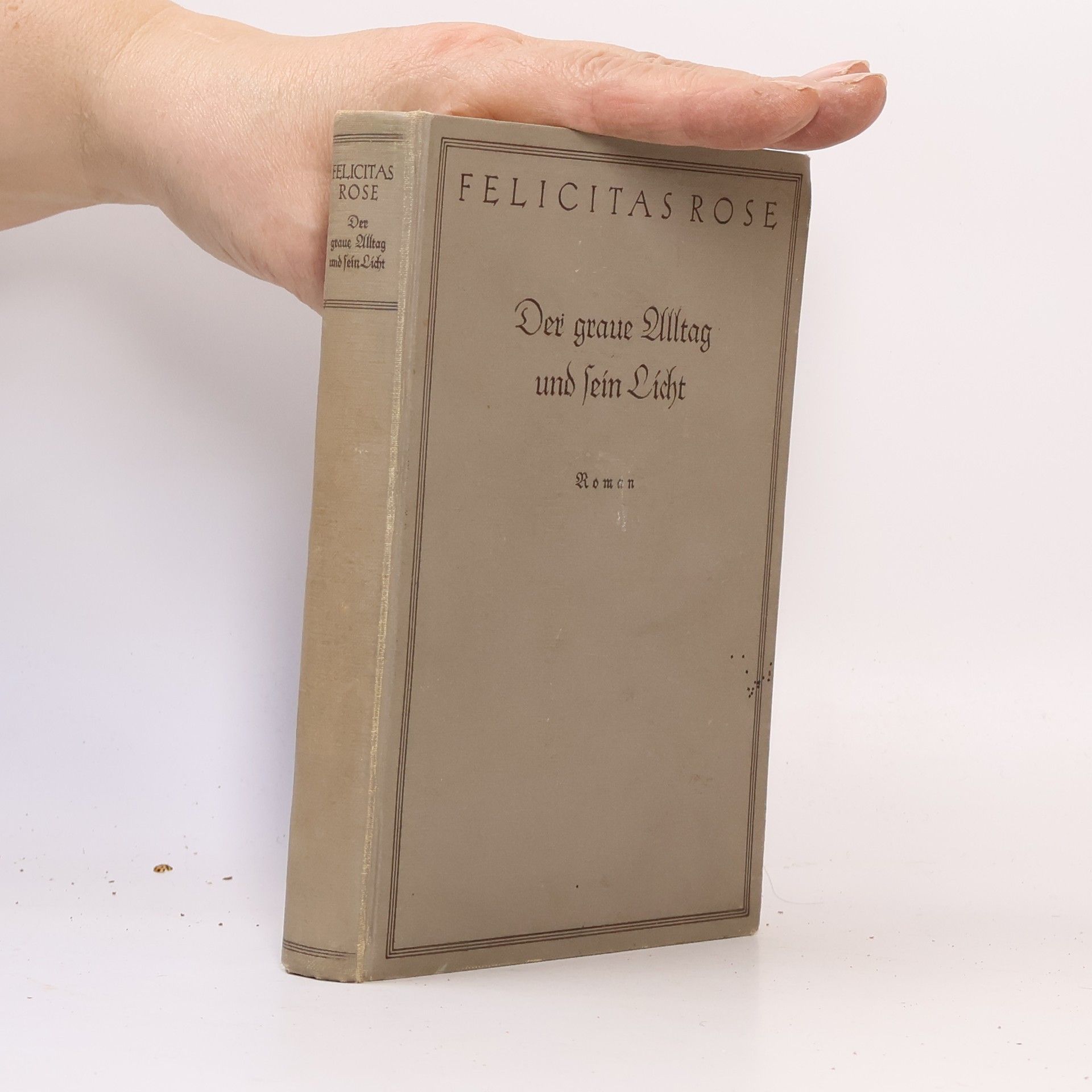 Felicitas Rose Der graue Alltag und sein Licht