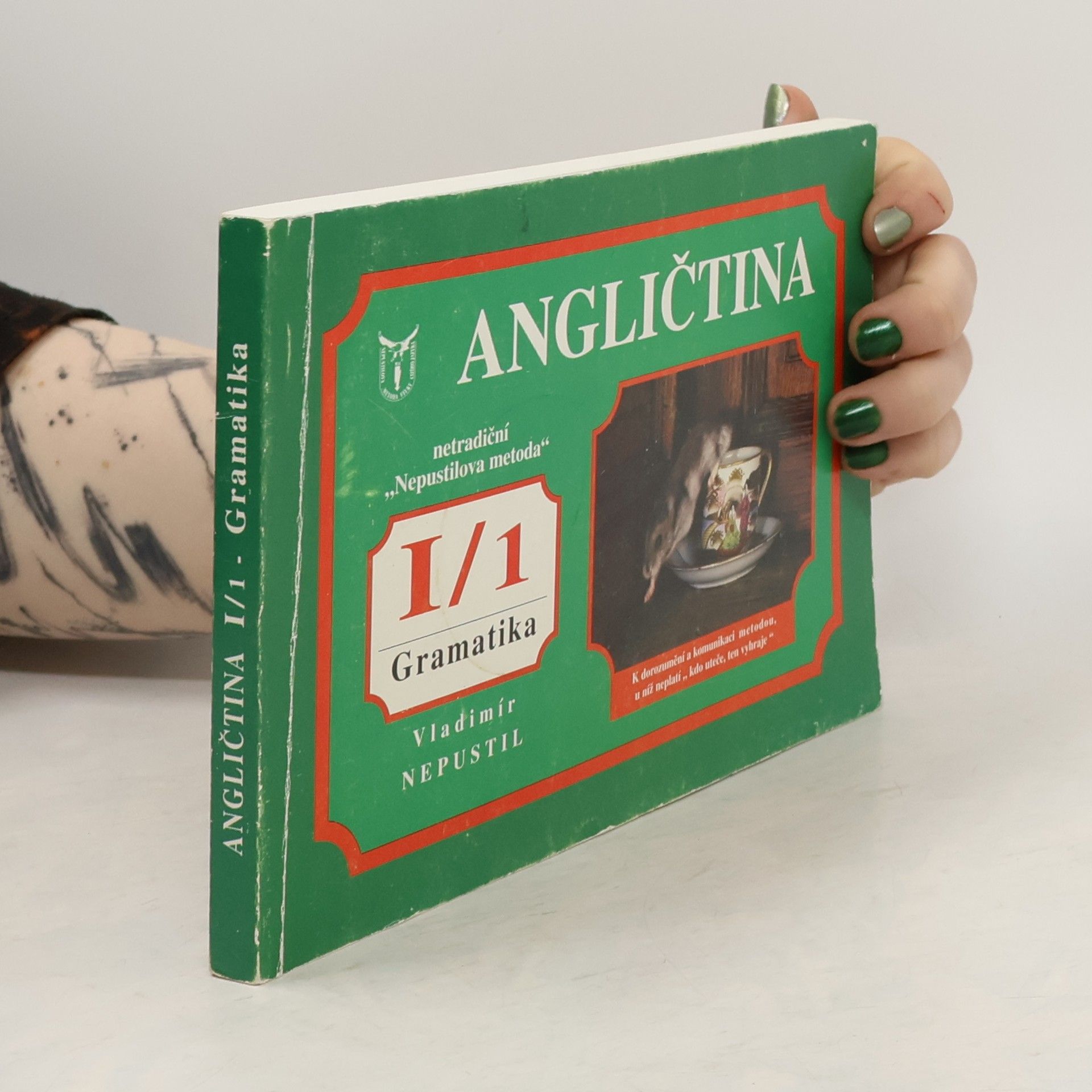 Vladimír Nepustil Angličtina I/1. Gramatika