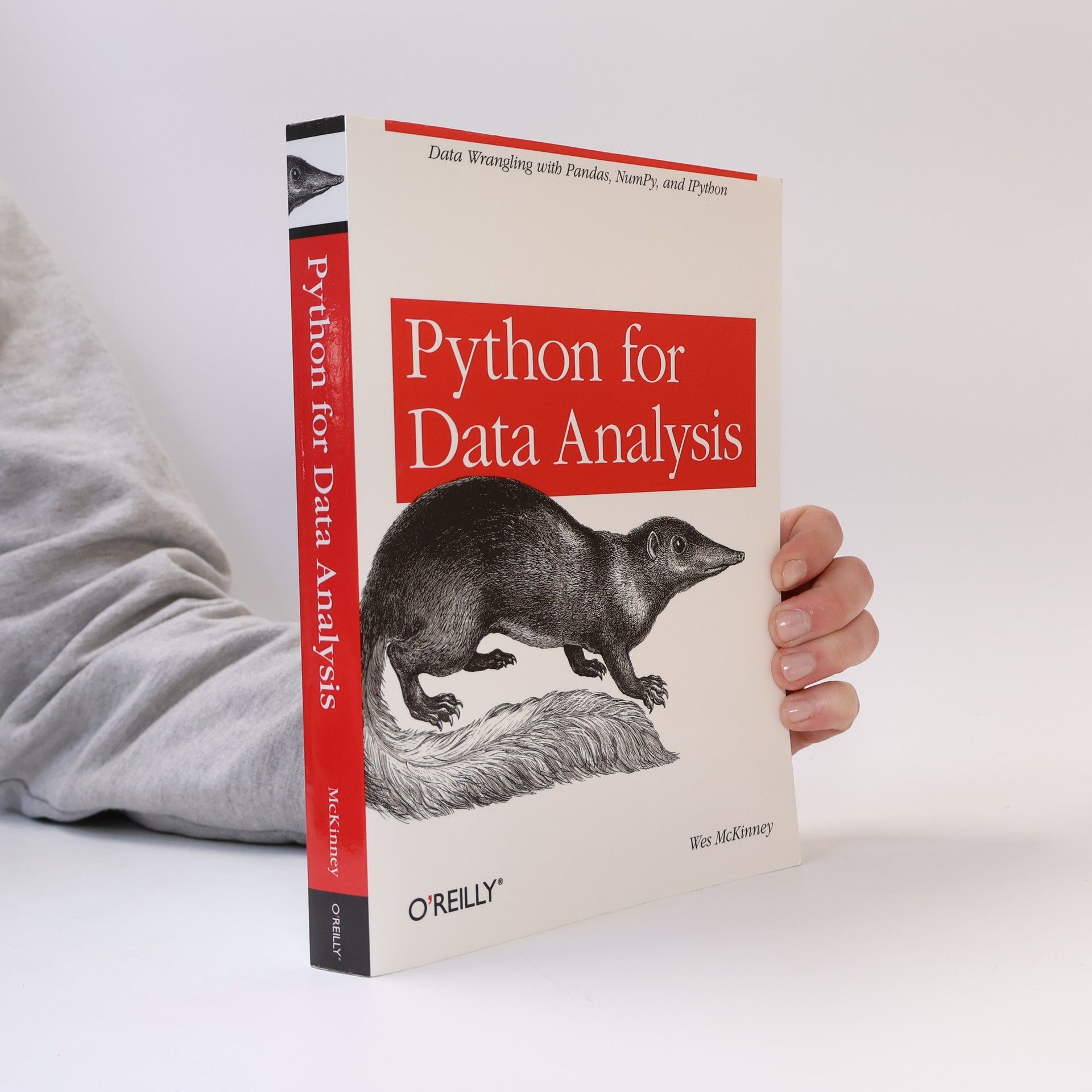 Wes McKinney Python for data analysis