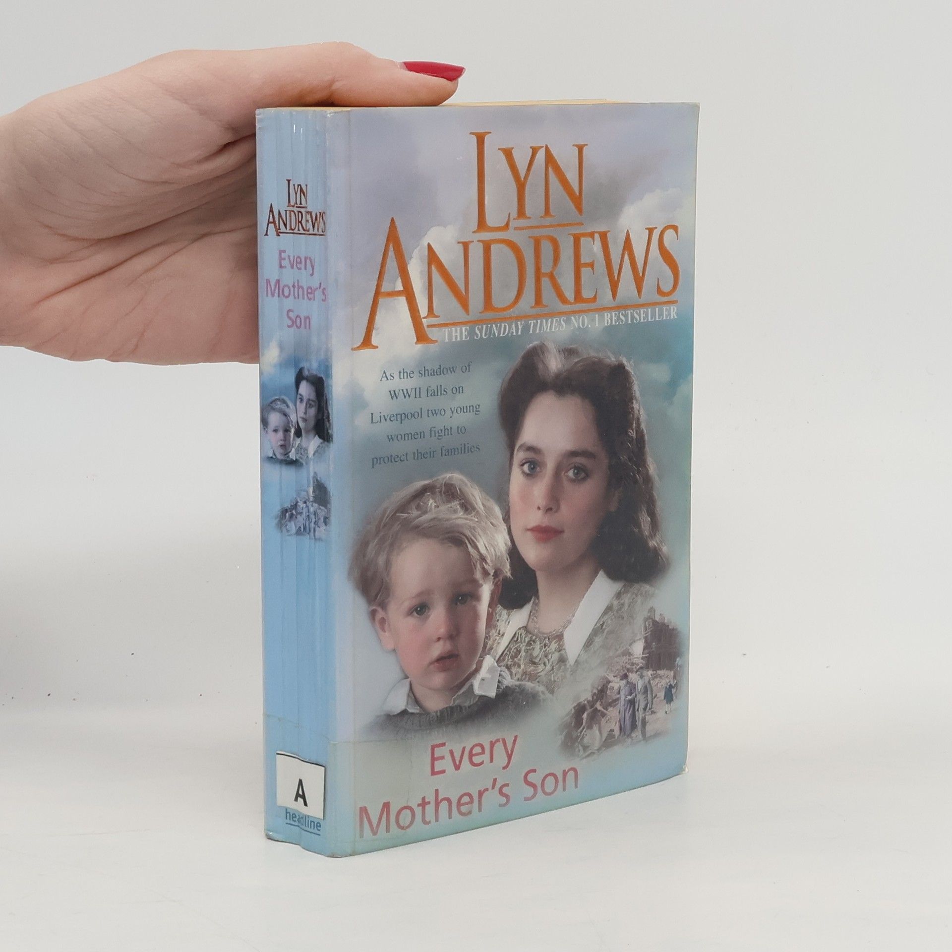 Lyn Andrews Every Mother's Son