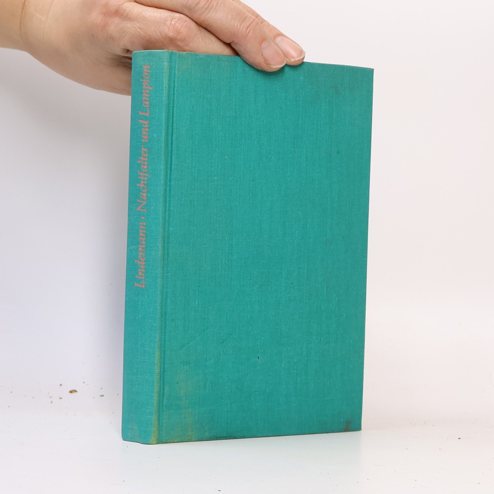 Kelvin Lindermann Nachtfalter und Lampion