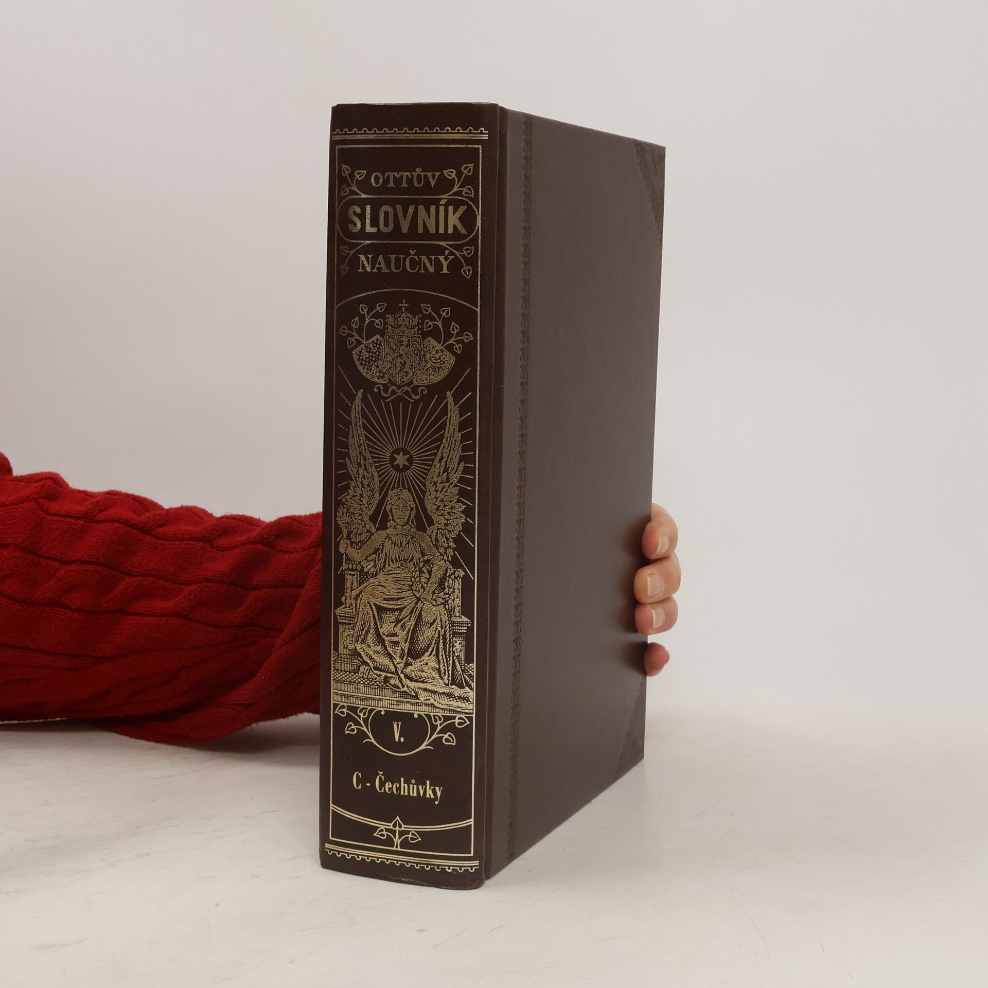Autorenkollektiv Ottův slovník naučný V.