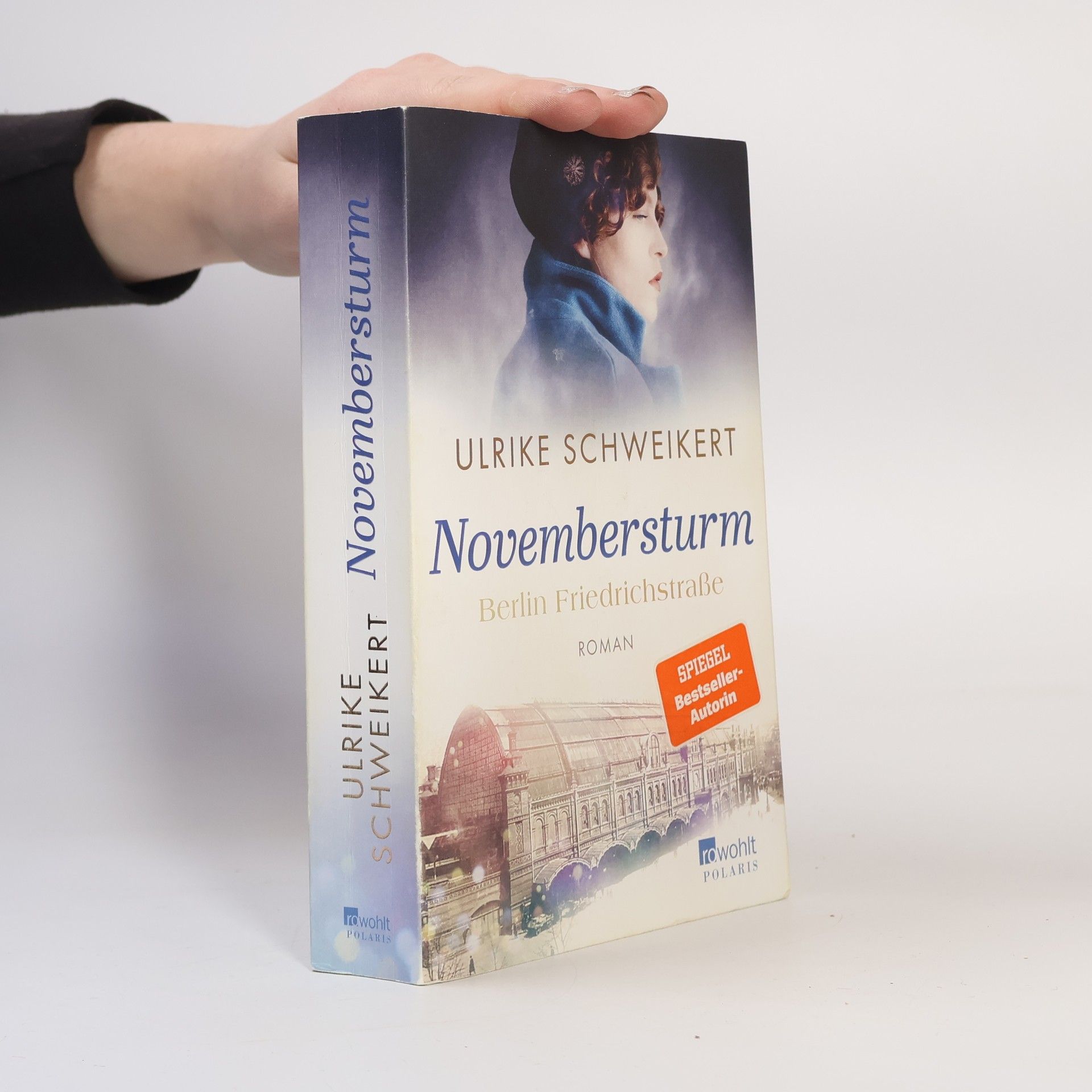 Berlin Friedrichstraße: Novembersturm