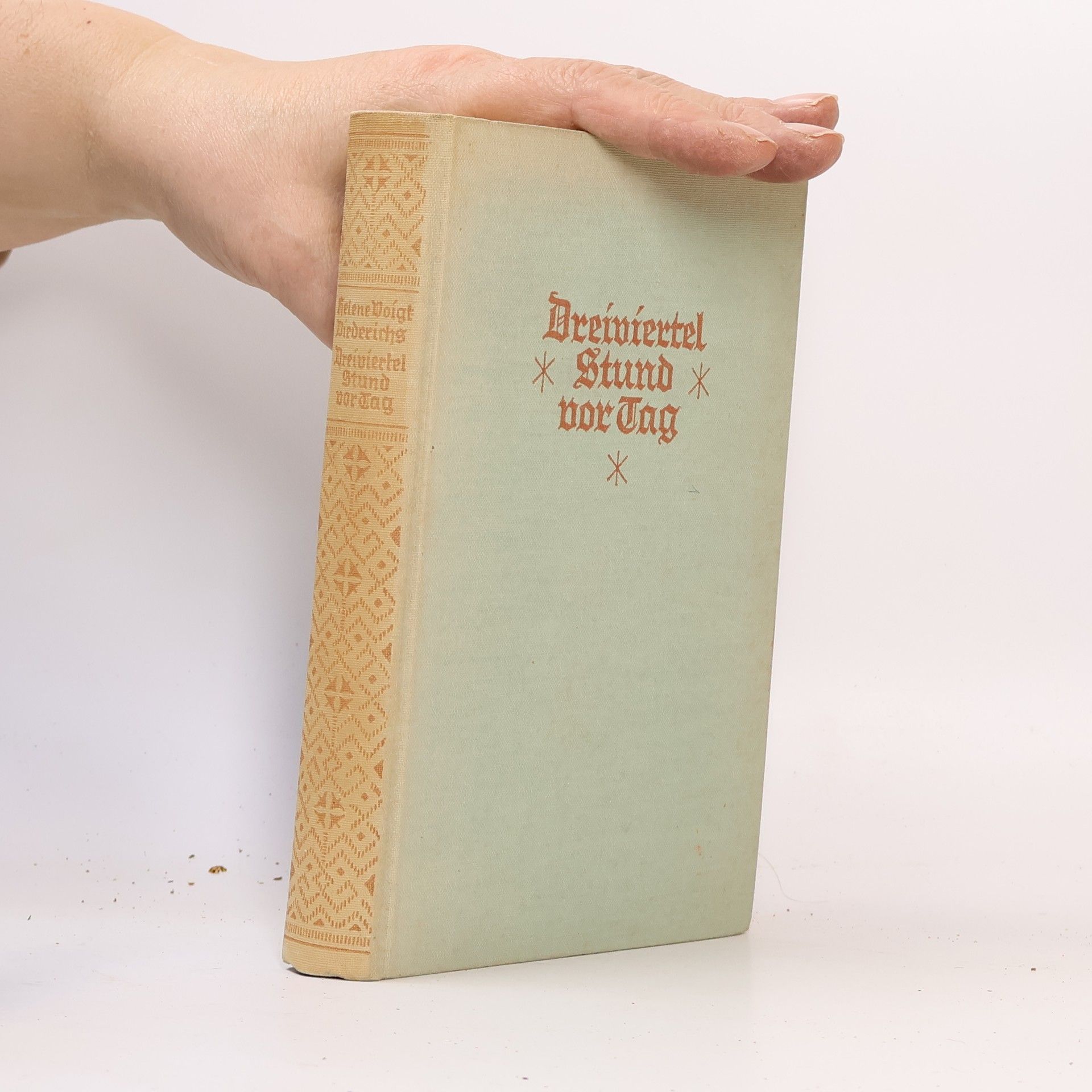 Helene Voigt Diederichs Dreiviertel Stund vor Tag