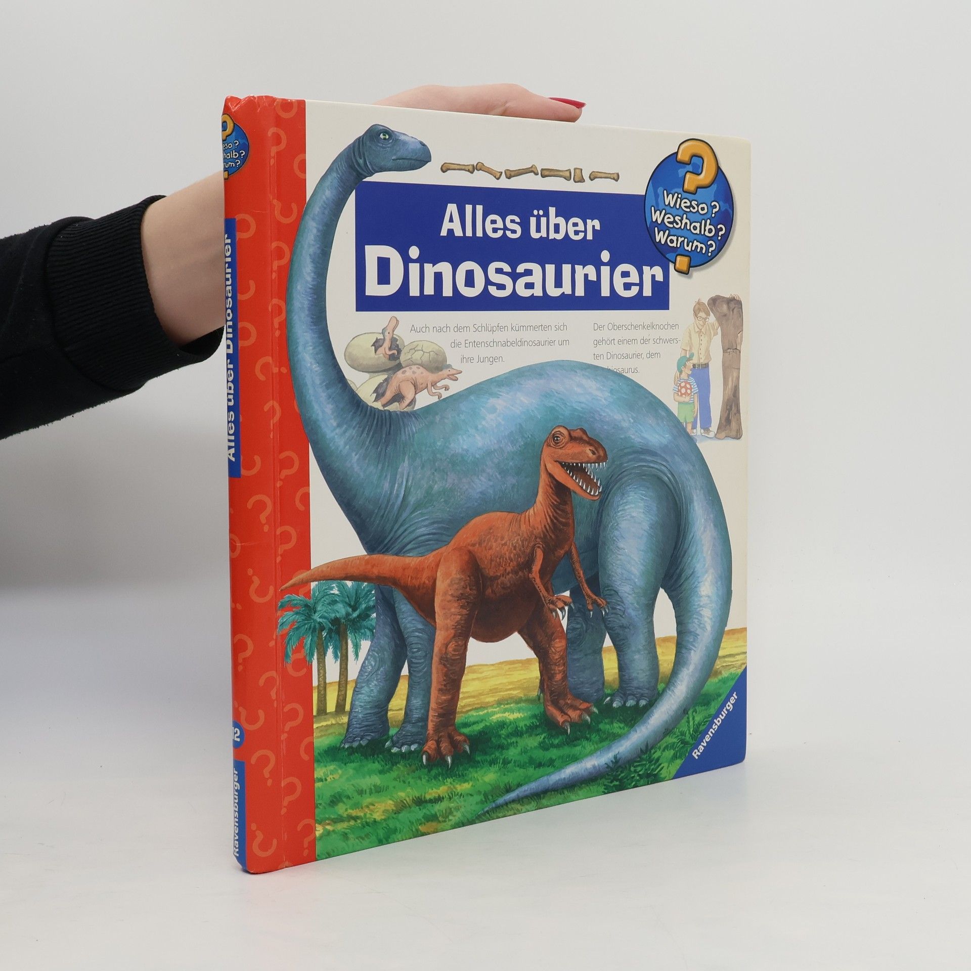Patricia Mennen Alles über Dinosaurier