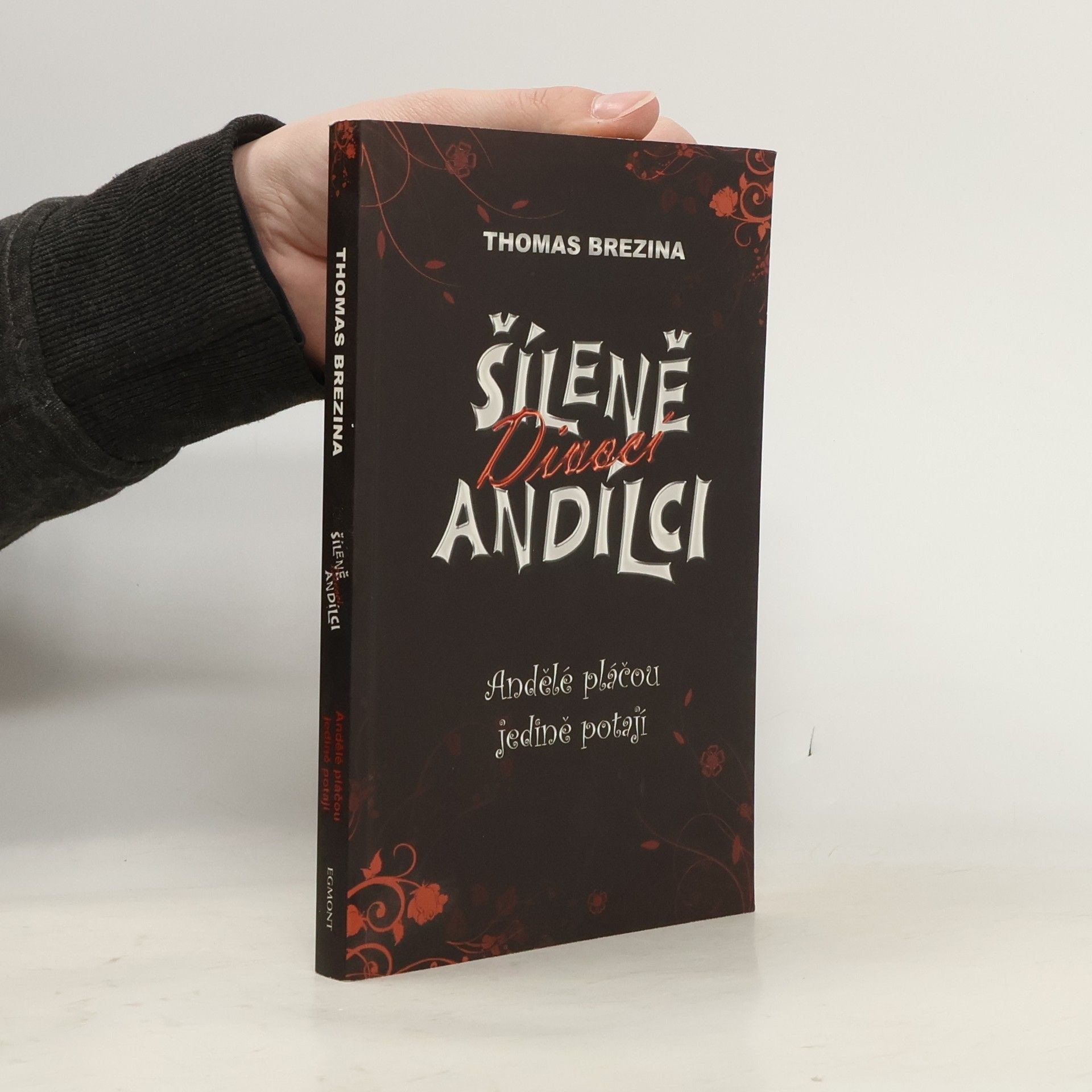 Thomas Brezina Andělé pláčou jedině potají