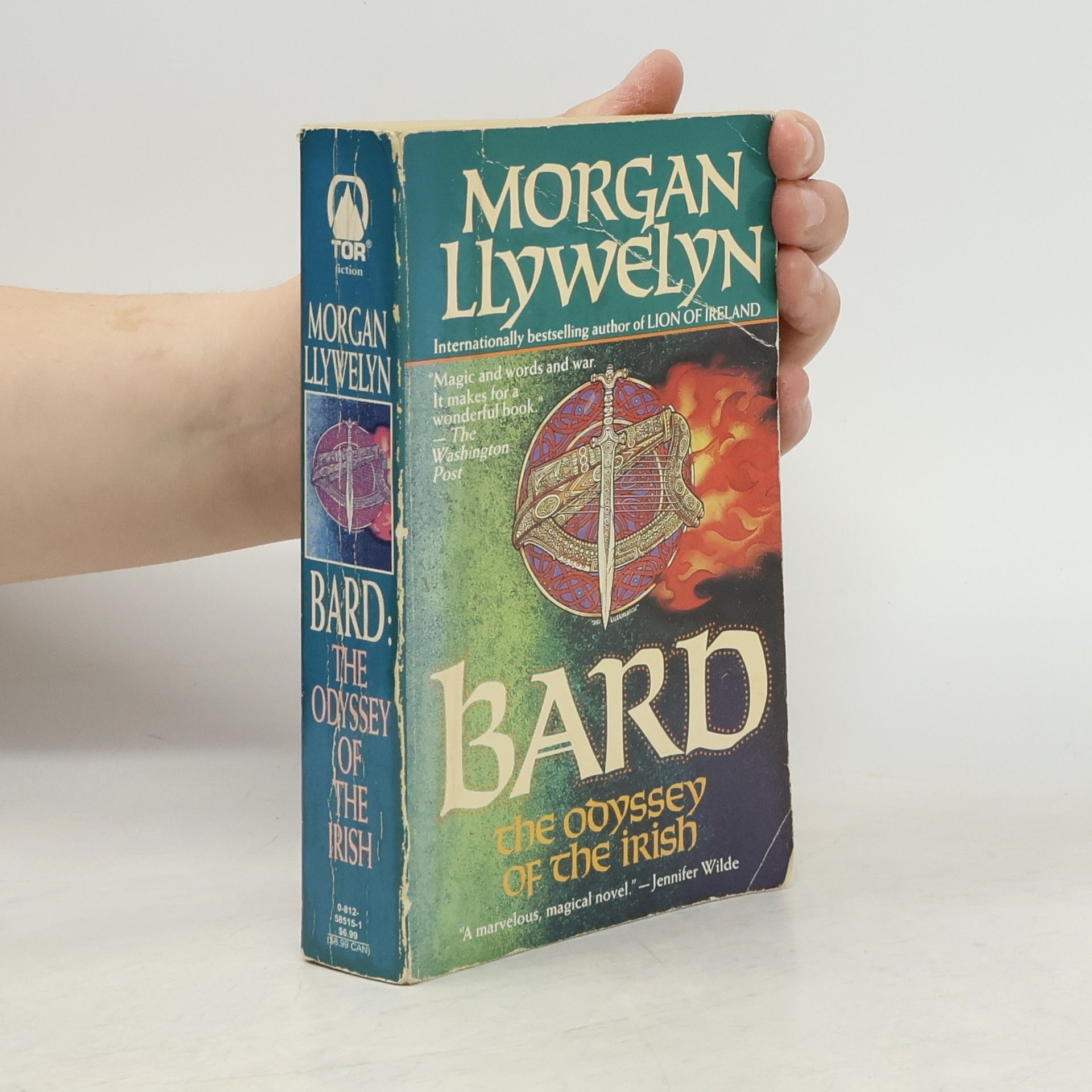 Morgan Llywelyn Bard: The Odyssey of the Irish