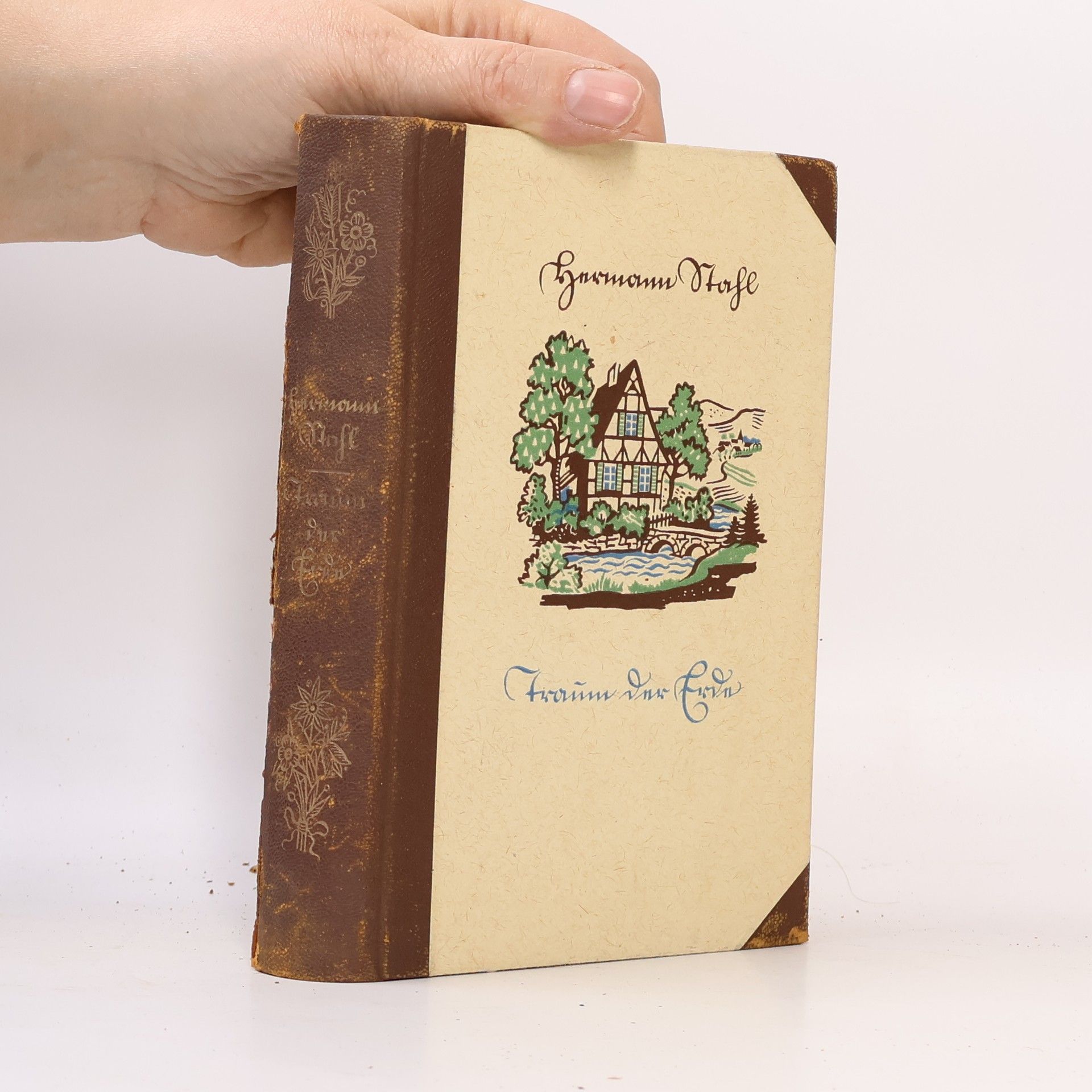 Hermann Stahl Traum der Erde