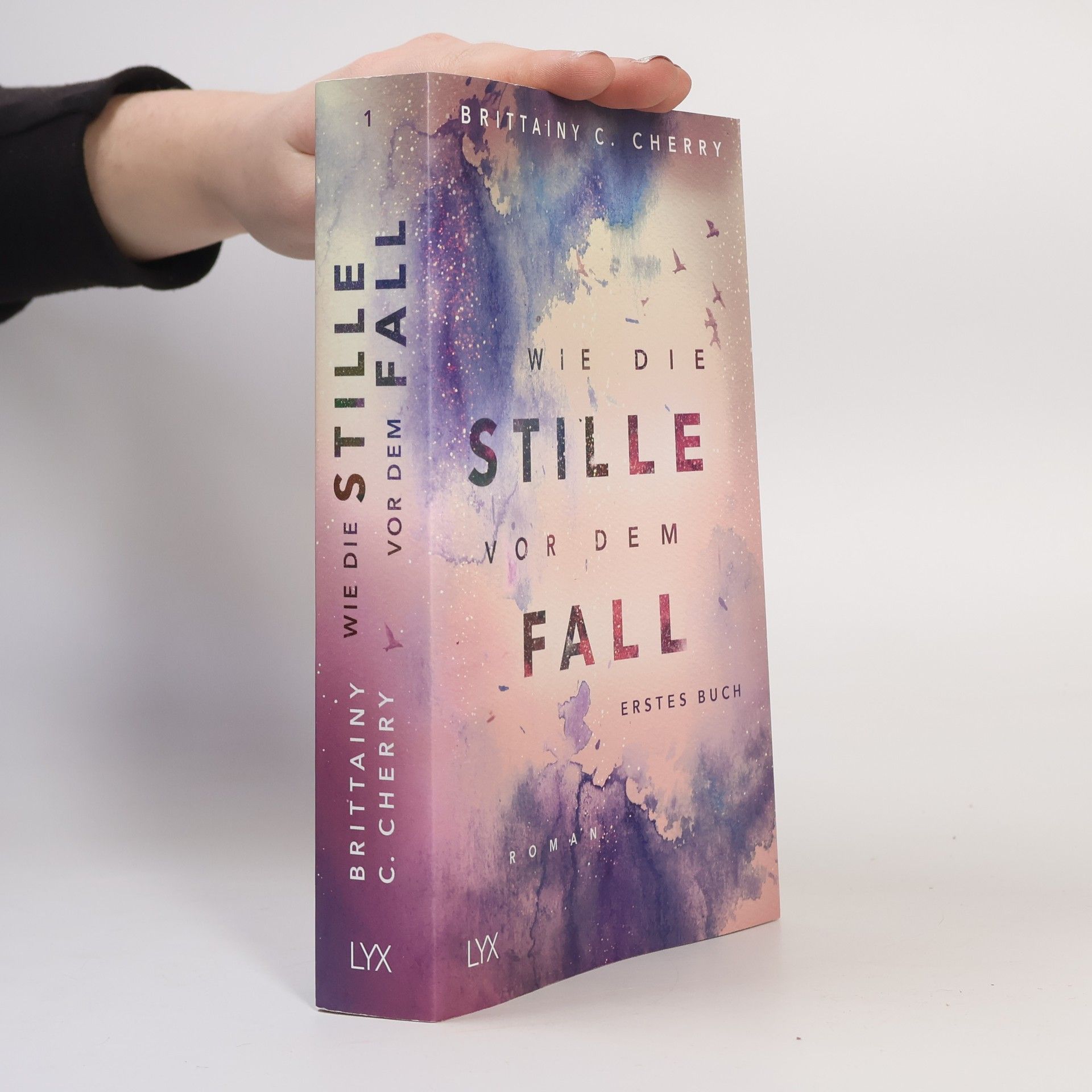 Brittainy C. Cherry Wie die Stille vor dem Fall