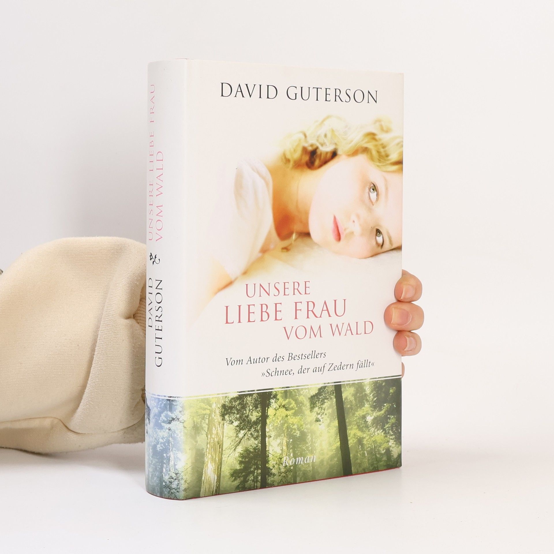David Guterson Unsere Liebe Frau vom Wald