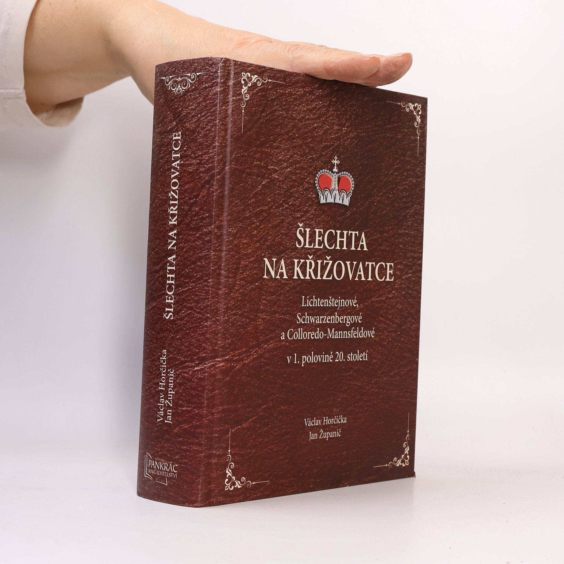 Šlechta na křižovatce - Lichtenštejnové, Schwarzenbergové a Colloredo-Mannsfeldové v 1. polovině 20. století