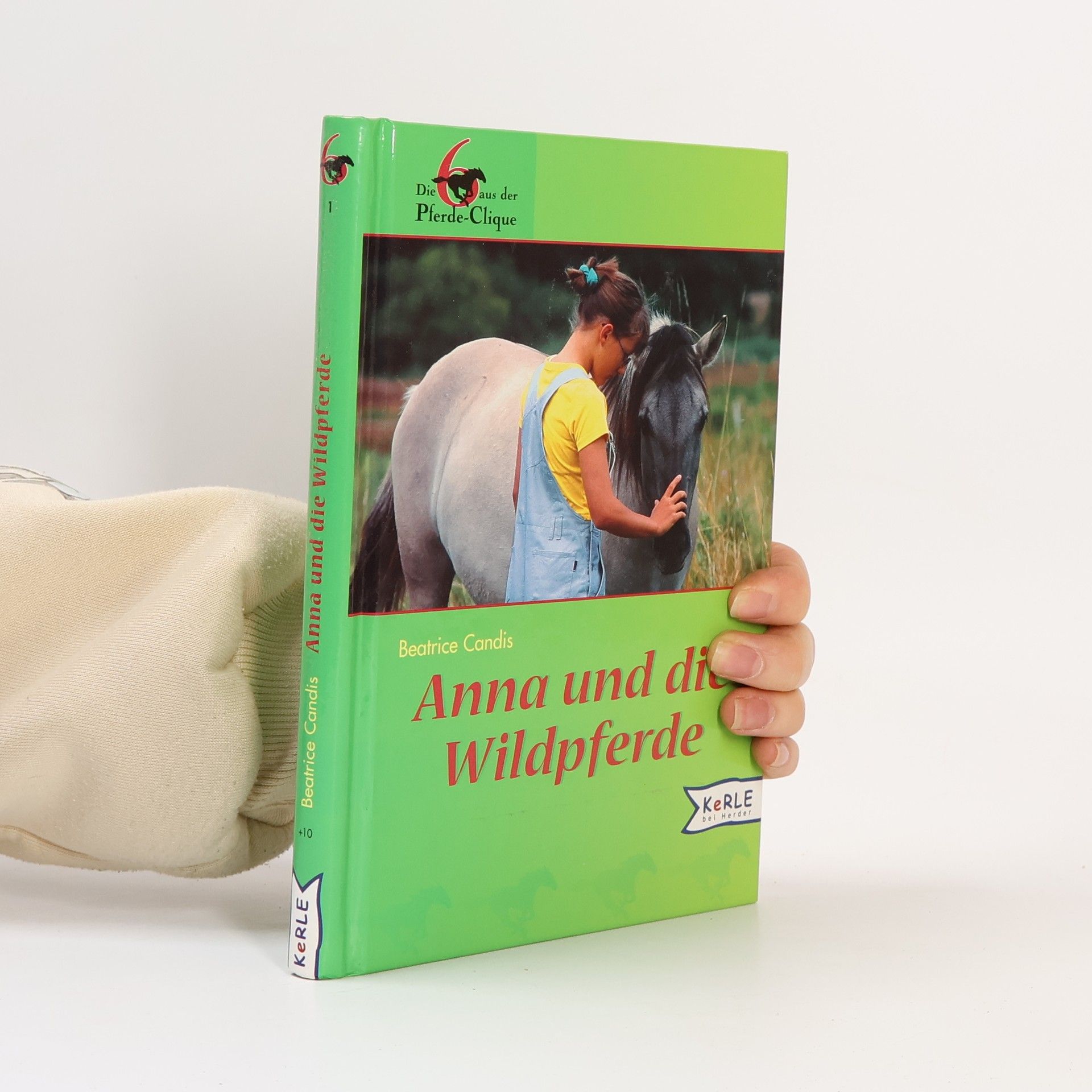 Beatrice Candis Die 6 aus der Pferde-Clique - 1: Anna und die Wildpferde