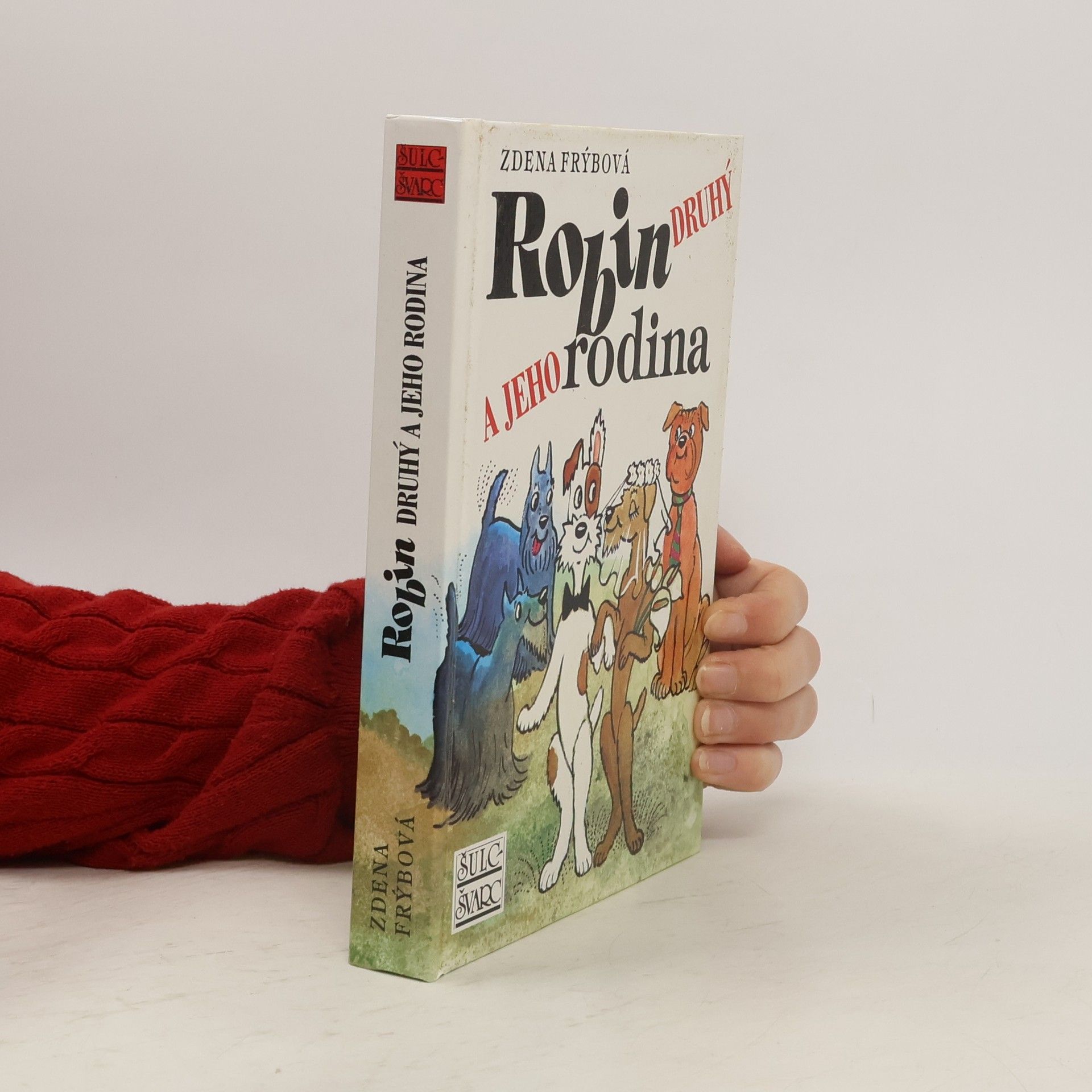 Zdena Frýbová Robin Druhý a jeho rodina