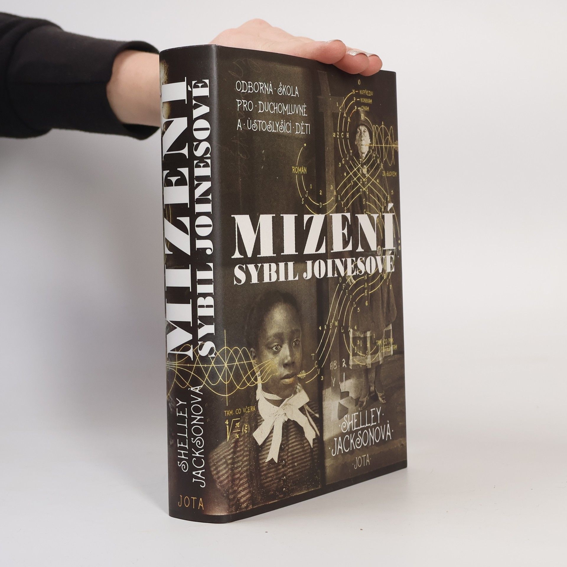 Shelley Jackson Mizení Sybil Joinesové