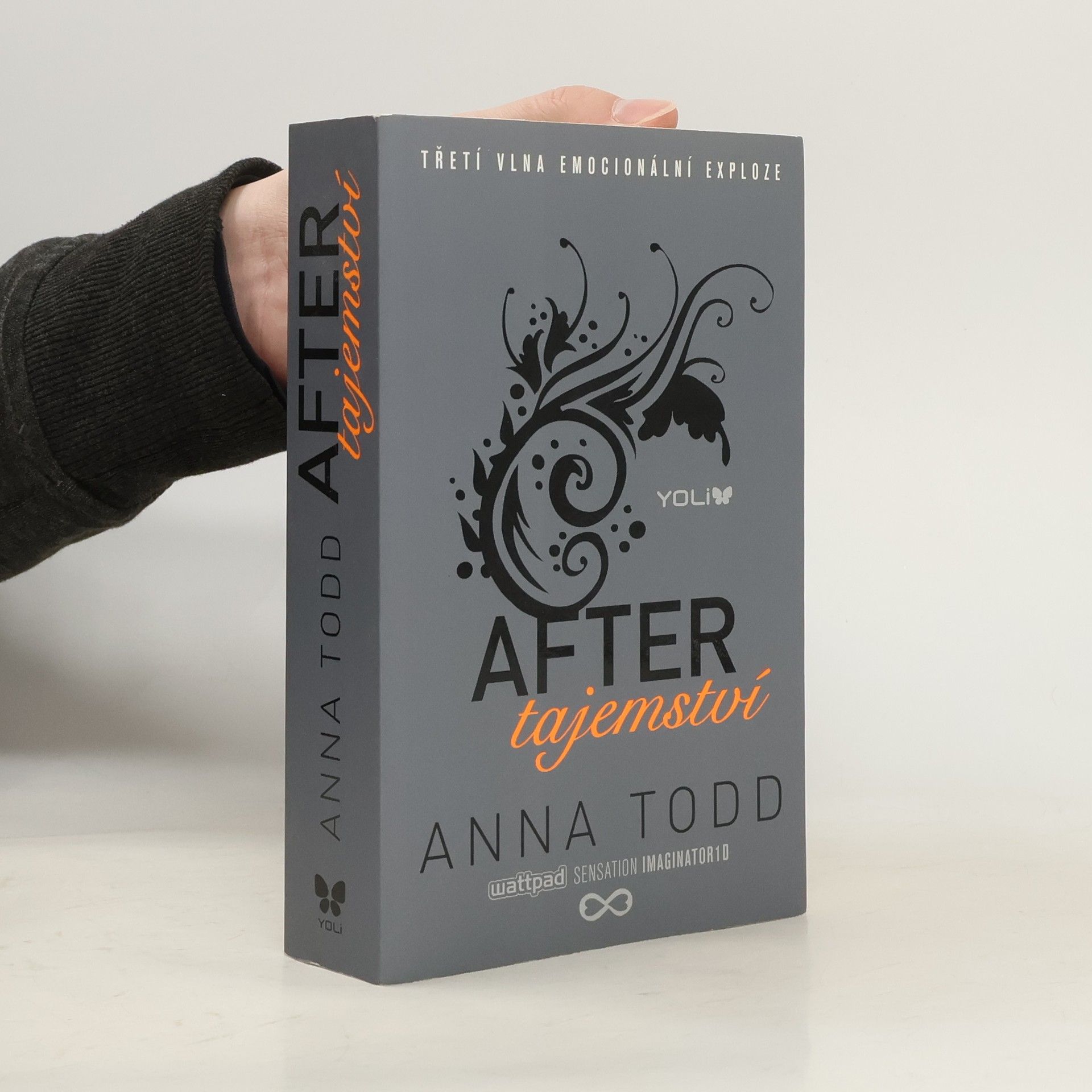 Anna Todd After. Tajemství